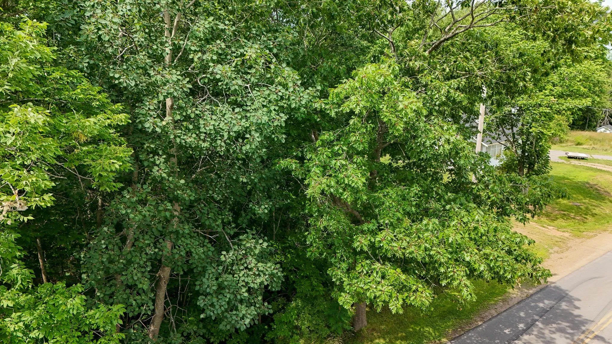 Maple Avenue Lot 2, Wolfville Ns B4p 2l9, ,Land,For Sale,Maple,202507116