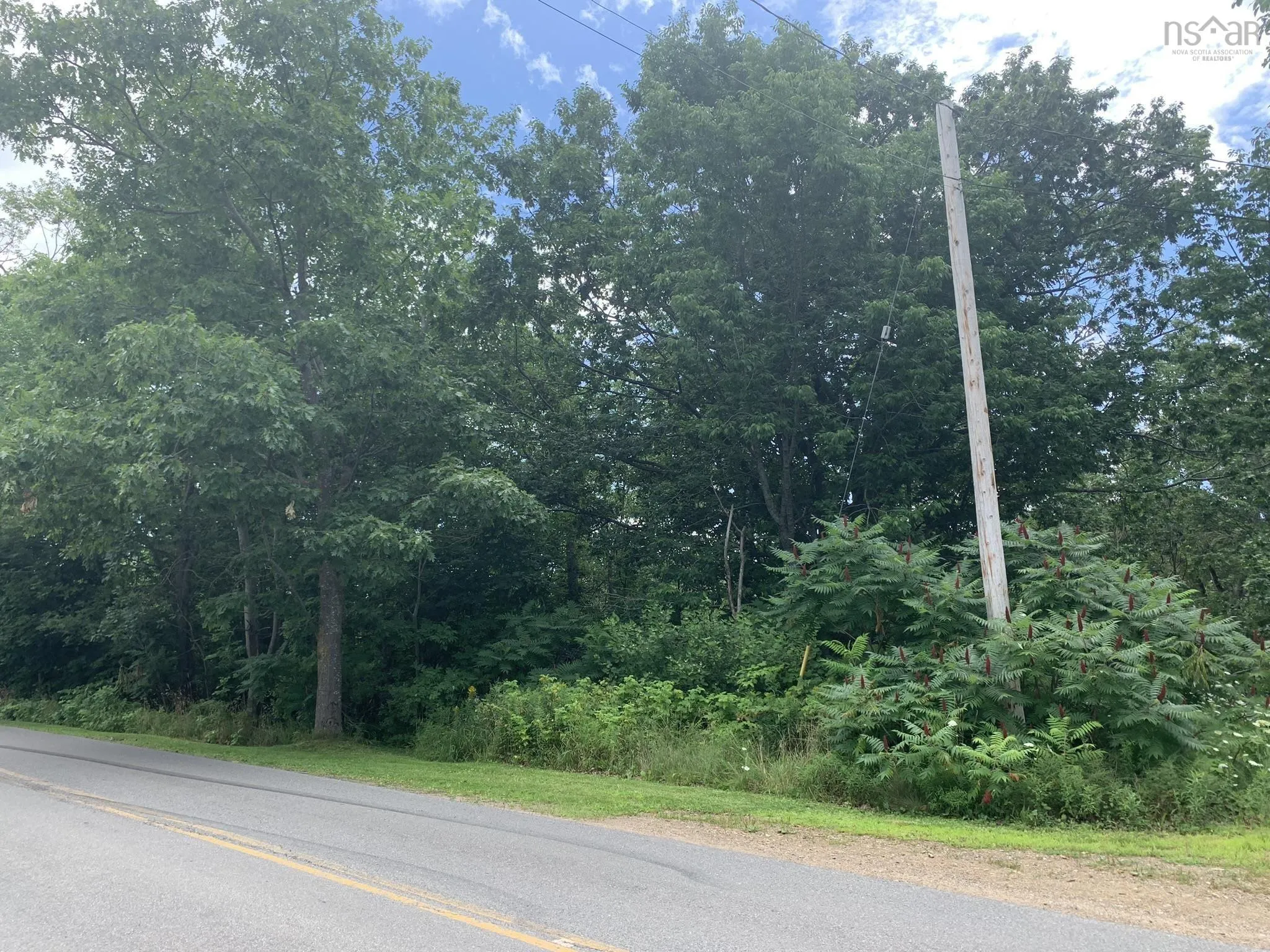 Maple Avenue Lot 2, Wolfville Ns B4p 2l9, ,Land,For Sale,Maple,202507116