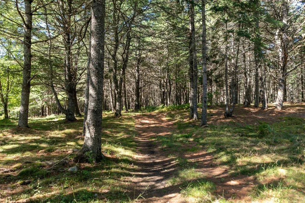 226 Crandall Road, Martins Point, NS B0J 2E0, 5 Bedrooms Bedrooms, ,6 BathroomsBathrooms,Residential,For Sale,Crandall,202522783