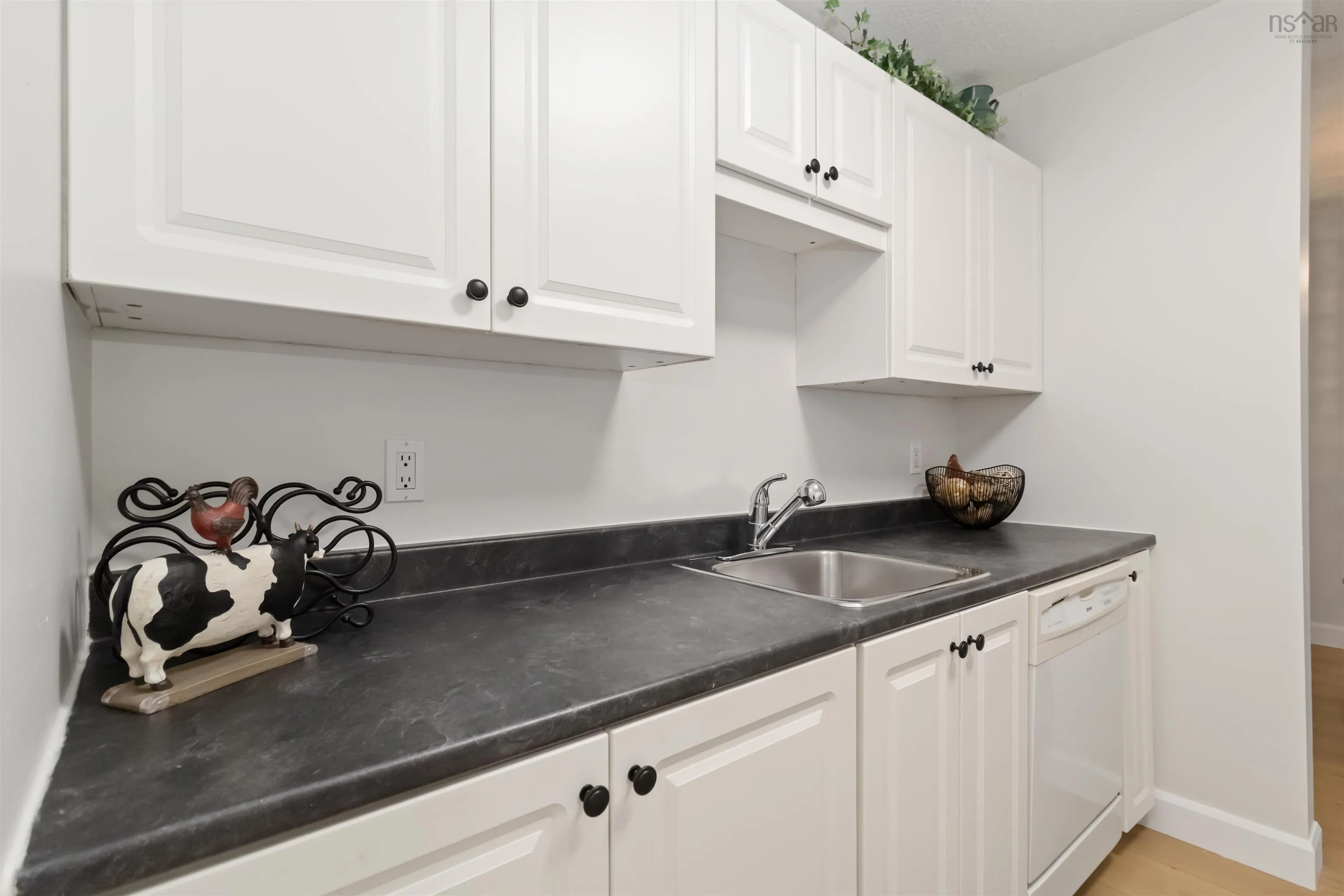 460-9 Forest Hills Parkway, Cole Harbour, NS B2W 0M5, 2 Bedrooms Bedrooms, ,2 BathroomsBathrooms,Residential,For Sale,Forest Hills Parkway,202520302