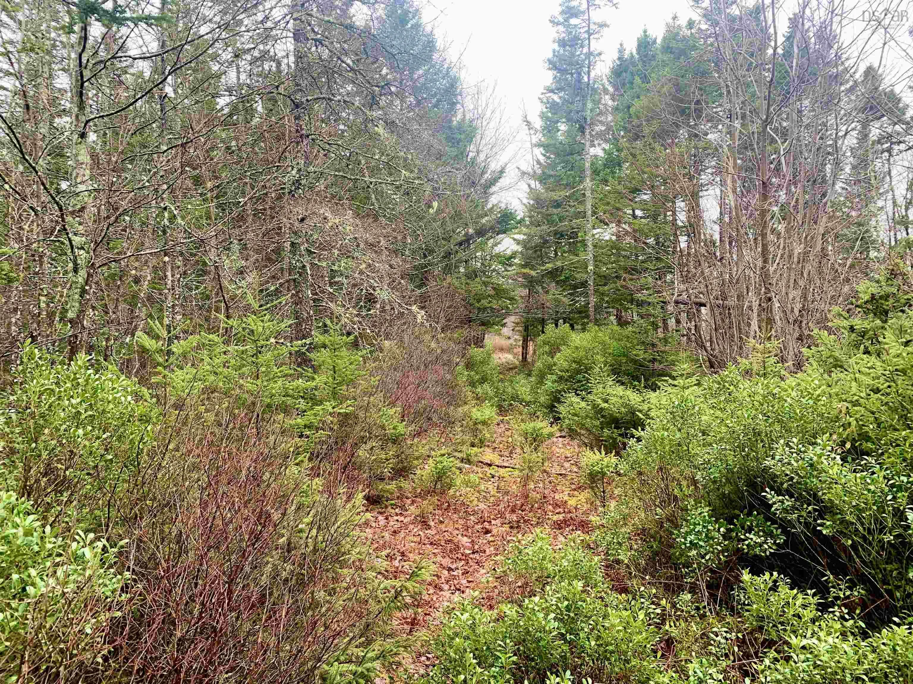 2.3 Acres Highway 308, Tusket Ns B0w 3m0, ,Land,For Sale,Highway 308,202406524
