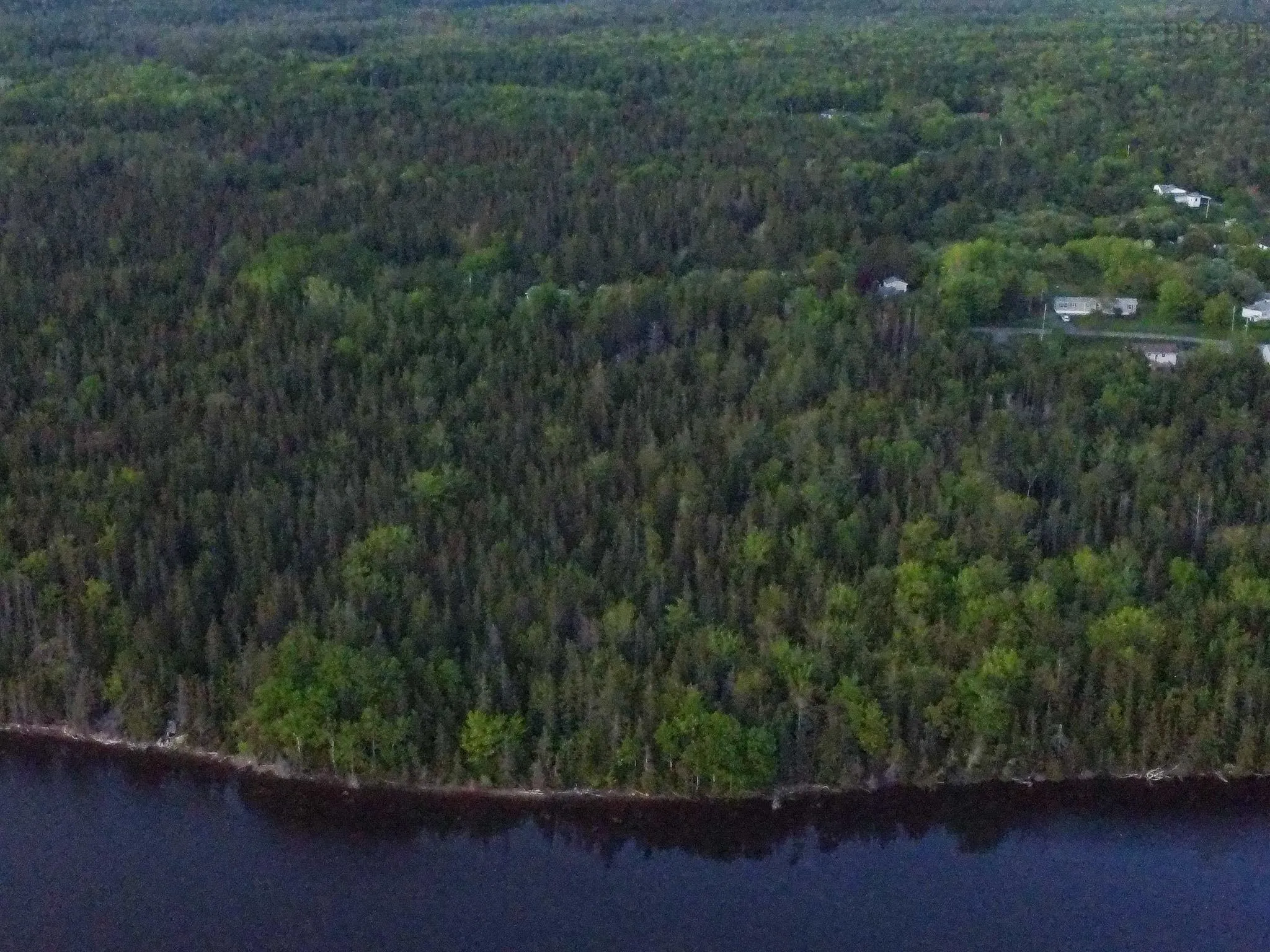 Macleod Road, Evanston, NS B0E 1J0, ,Land,For Sale,Macleod,202518552