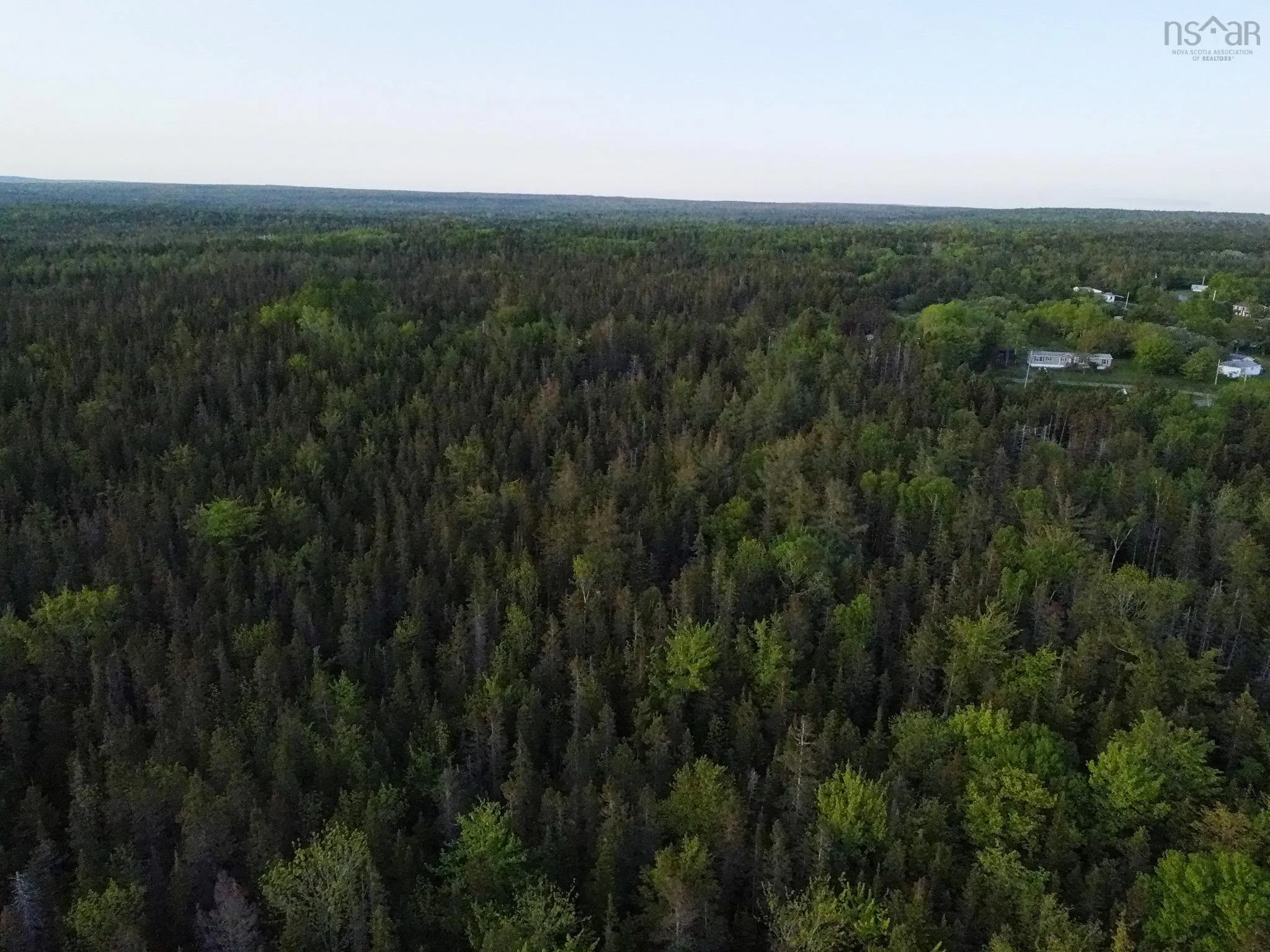 Macleod Road, Evanston, NS B0E 1J0, ,Land,For Sale,Macleod,202518552