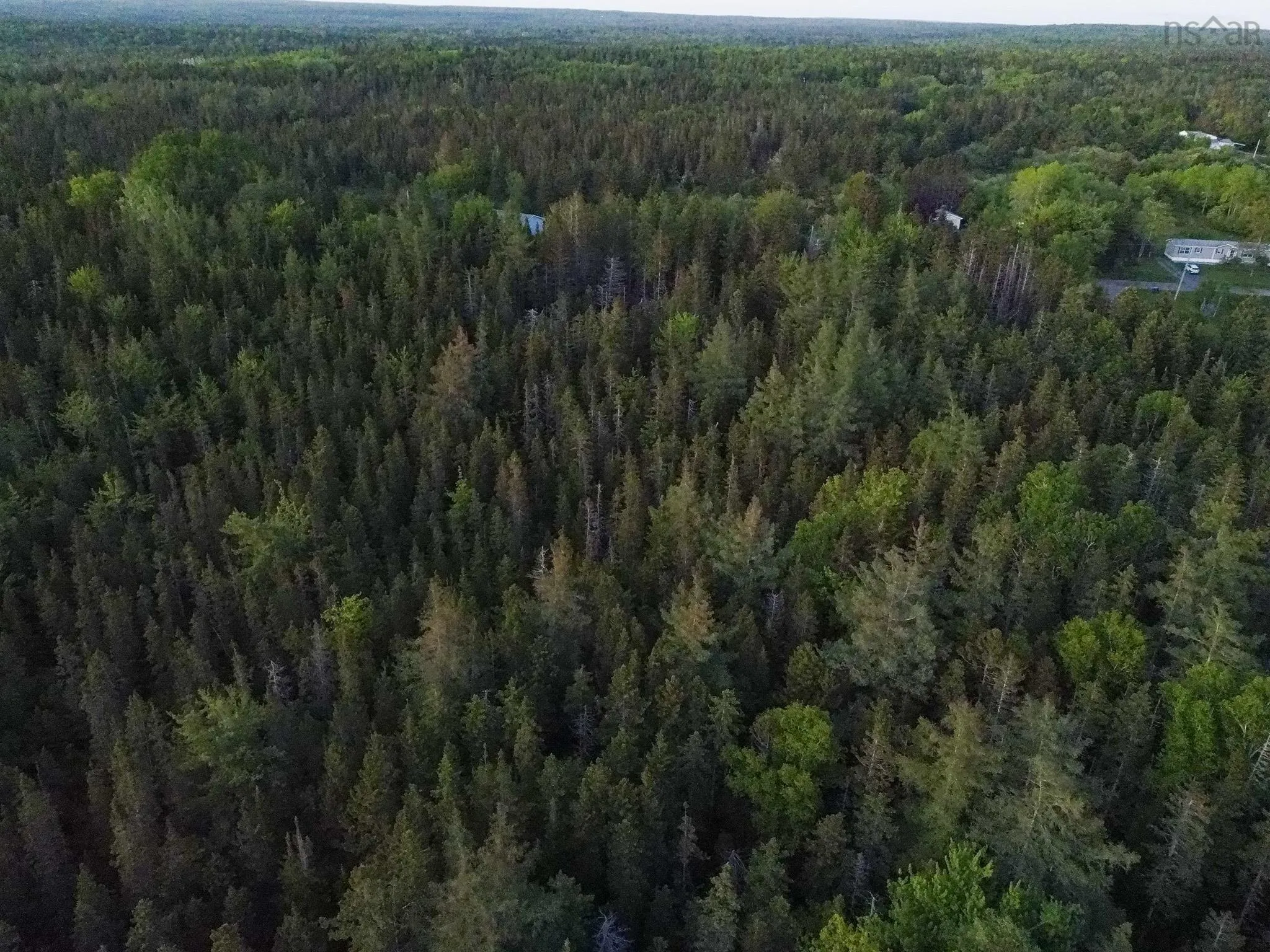Macleod Road, Evanston, NS B0E 1J0, ,Land,For Sale,Macleod,202518552