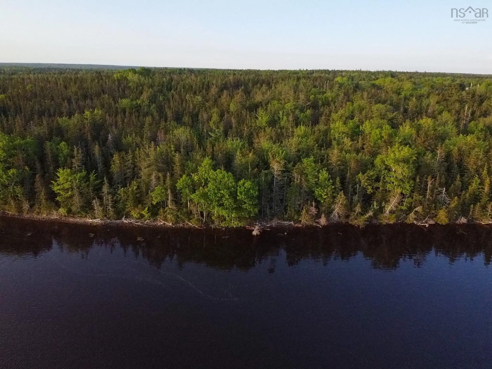 Macleod Road, Evanston, NS B0E 1J0, ,Land,For Sale,Macleod,202518552