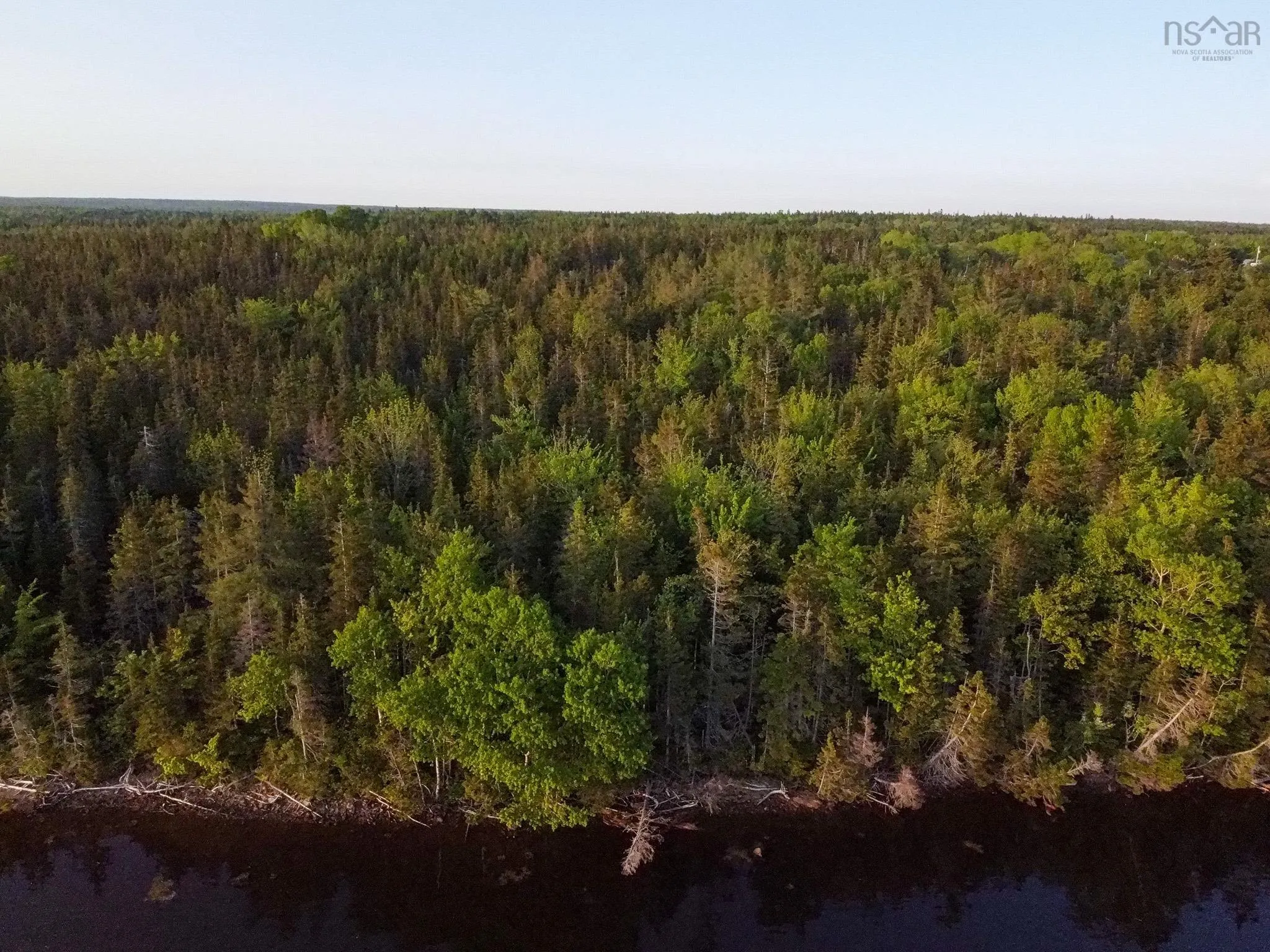 Macleod Road, Evanston, NS B0E 1J0, ,Land,For Sale,Macleod,202518552