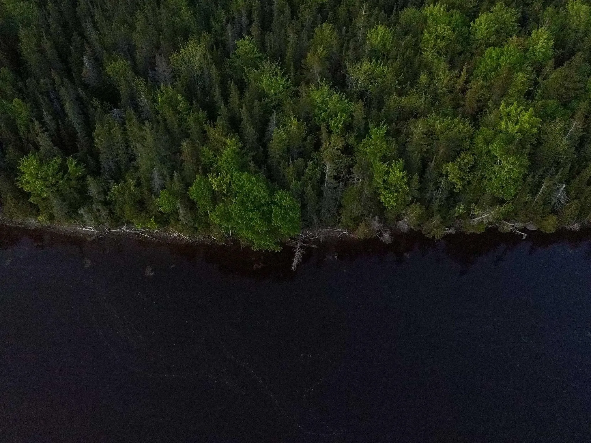 Macleod Road, Evanston, NS B0E 1J0, ,Land,For Sale,Macleod,202518552