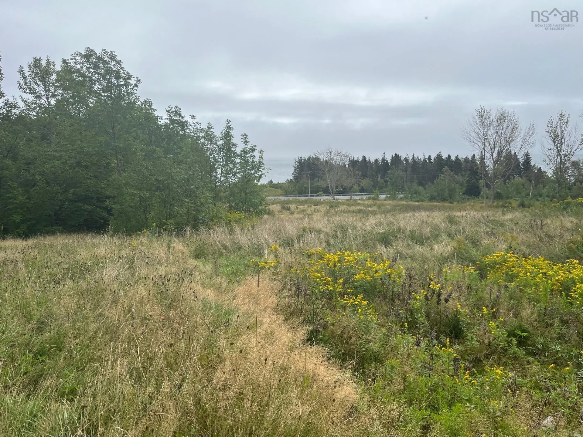 0 Cabot Trail, North Shore, NS B0C 1H0, ,Land,For Sale,Cabot Trail,202525416