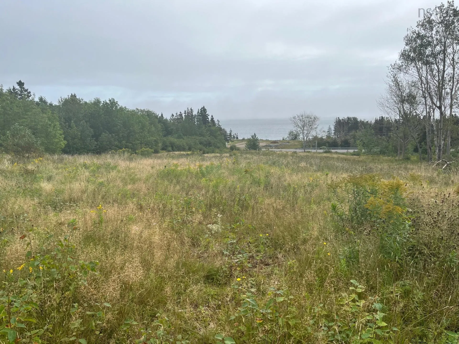 0 Cabot Trail, North Shore, NS B0C 1H0, ,Land,For Sale,Cabot Trail,202525416