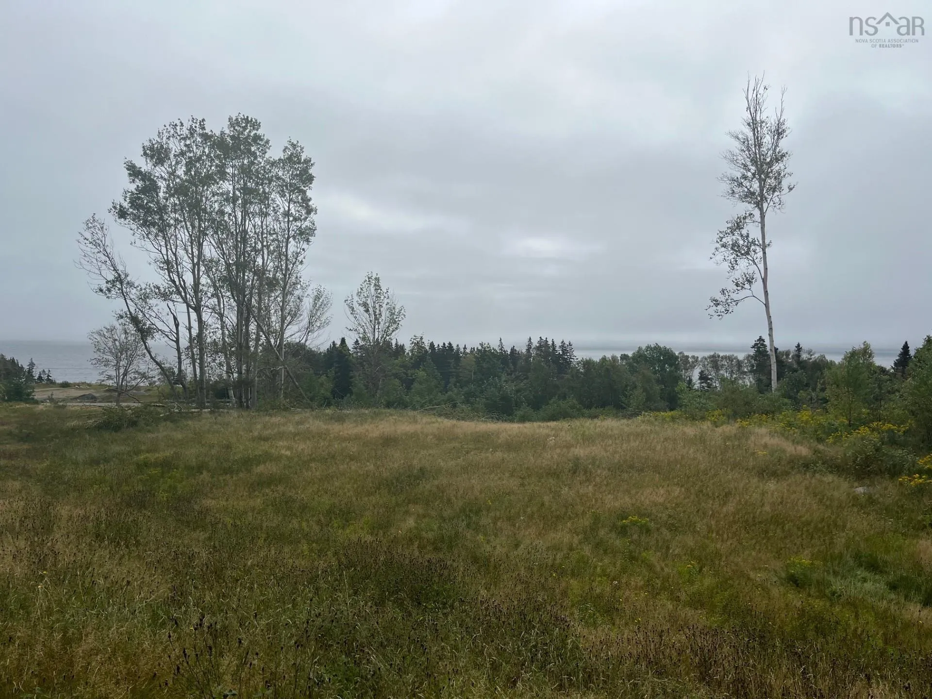 0 Cabot Trail, North Shore, NS B0C 1H0, ,Land,For Sale,Cabot Trail,202525416