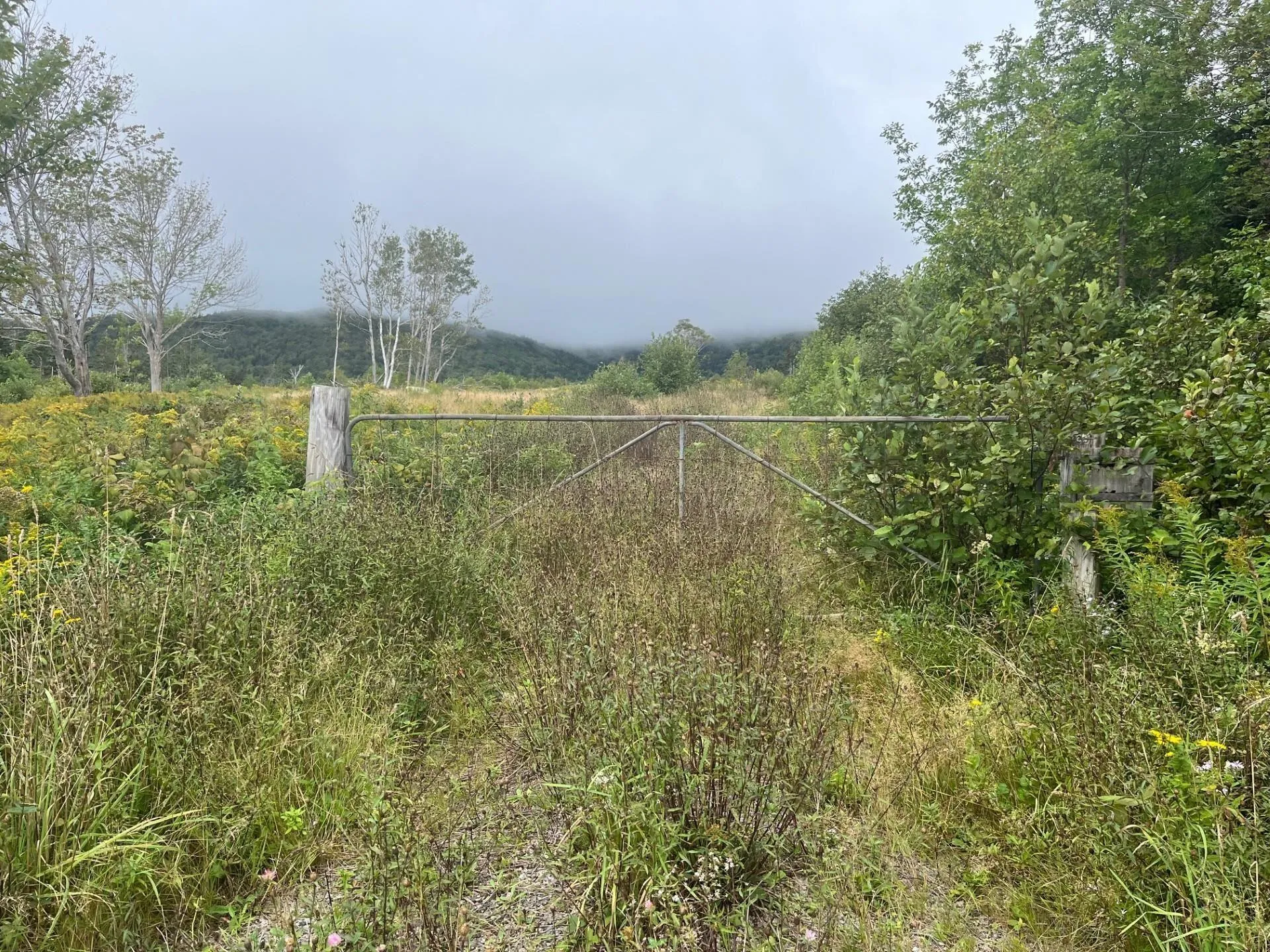 0 Cabot Trail, North Shore, NS B0C 1H0, ,Land,For Sale,Cabot Trail,202525416