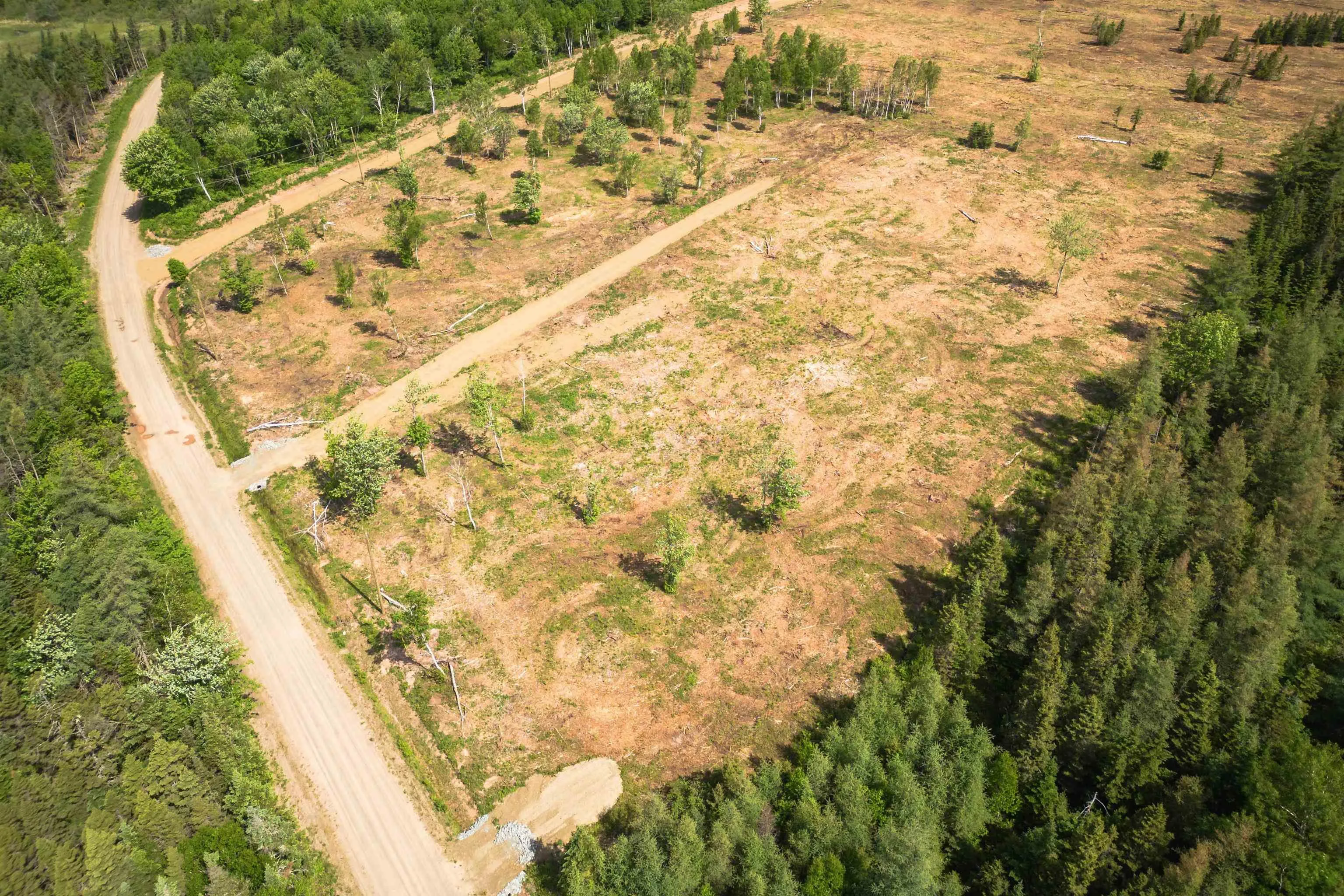 Whycocomagh-port Hood Road Lot 2, Mabou Ns B0e 1x0, ,Land,For Sale,Whycocomagh-Port Hood,202506914