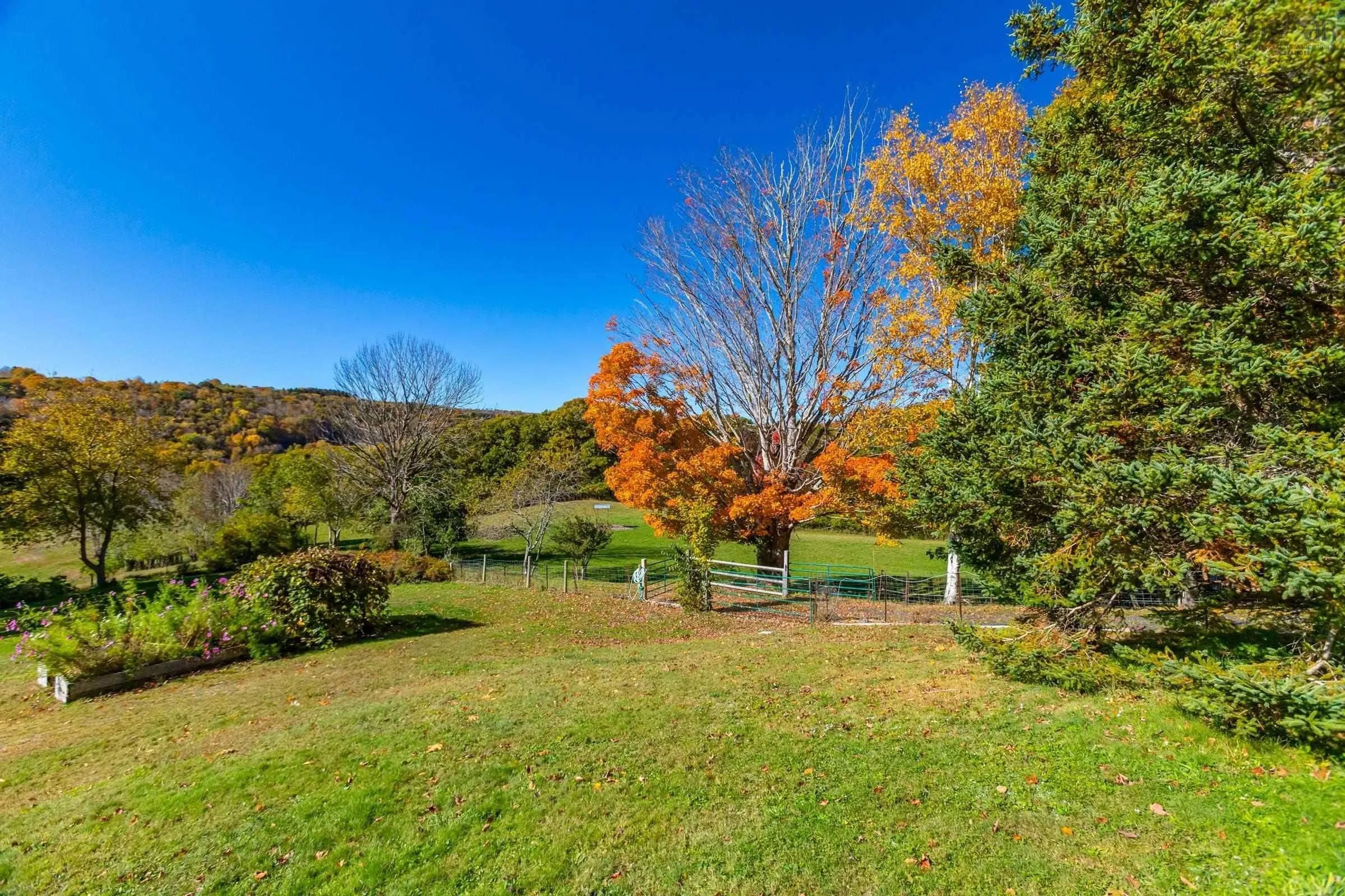 481 Chute Road, Bear River, NS B0S 1B0, 5 Bedrooms Bedrooms, ,3 BathroomsBathrooms,Farm,For Sale,Chute,202519638
