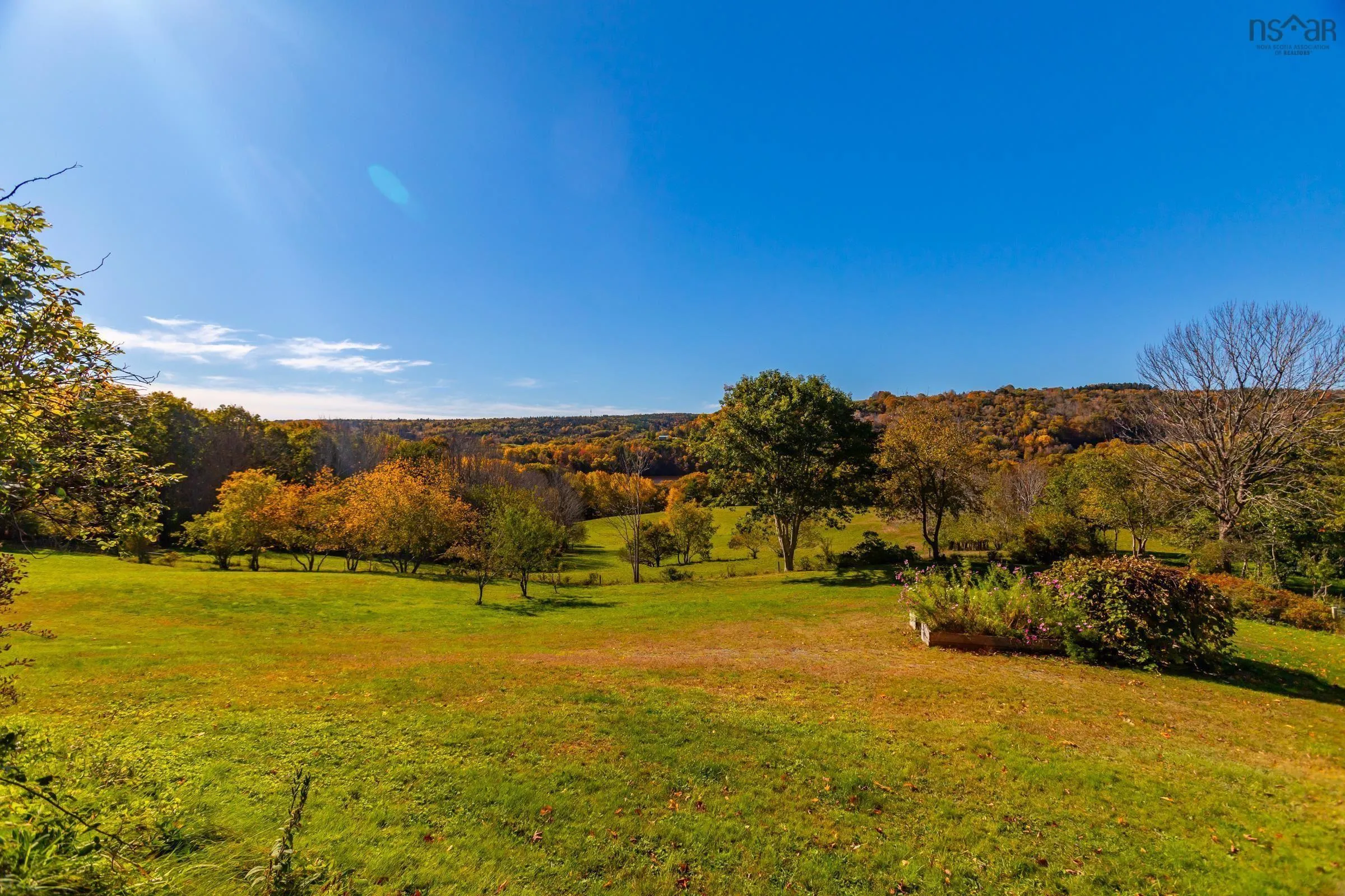 481 Chute Road, Bear River, NS B0S 1B0, 5 Bedrooms Bedrooms, ,3 BathroomsBathrooms,Farm,For Sale,Chute,202519638
