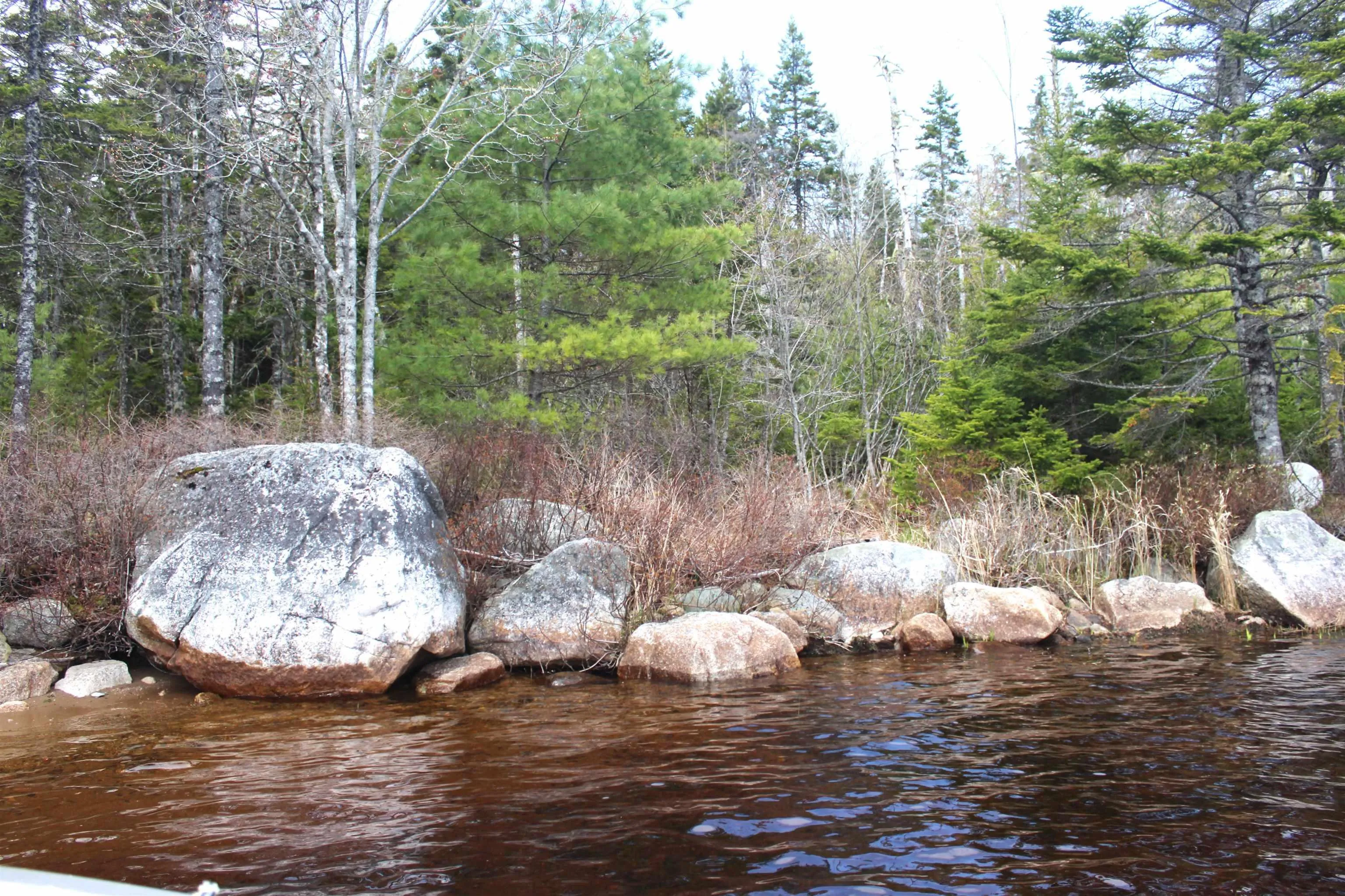 Lake Charlotte, Upper Lakeville, NS B0J 1P0, ,Residential,For Sale,Lake Charlotte,202511085