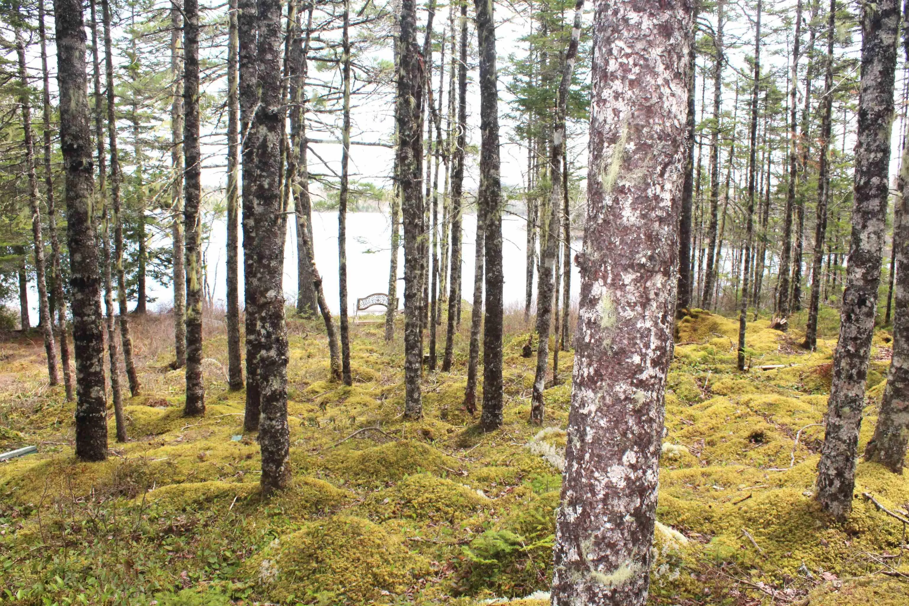 Lake Charlotte, Upper Lakeville, NS B0J 1P0, ,Residential,For Sale,Lake Charlotte,202511085