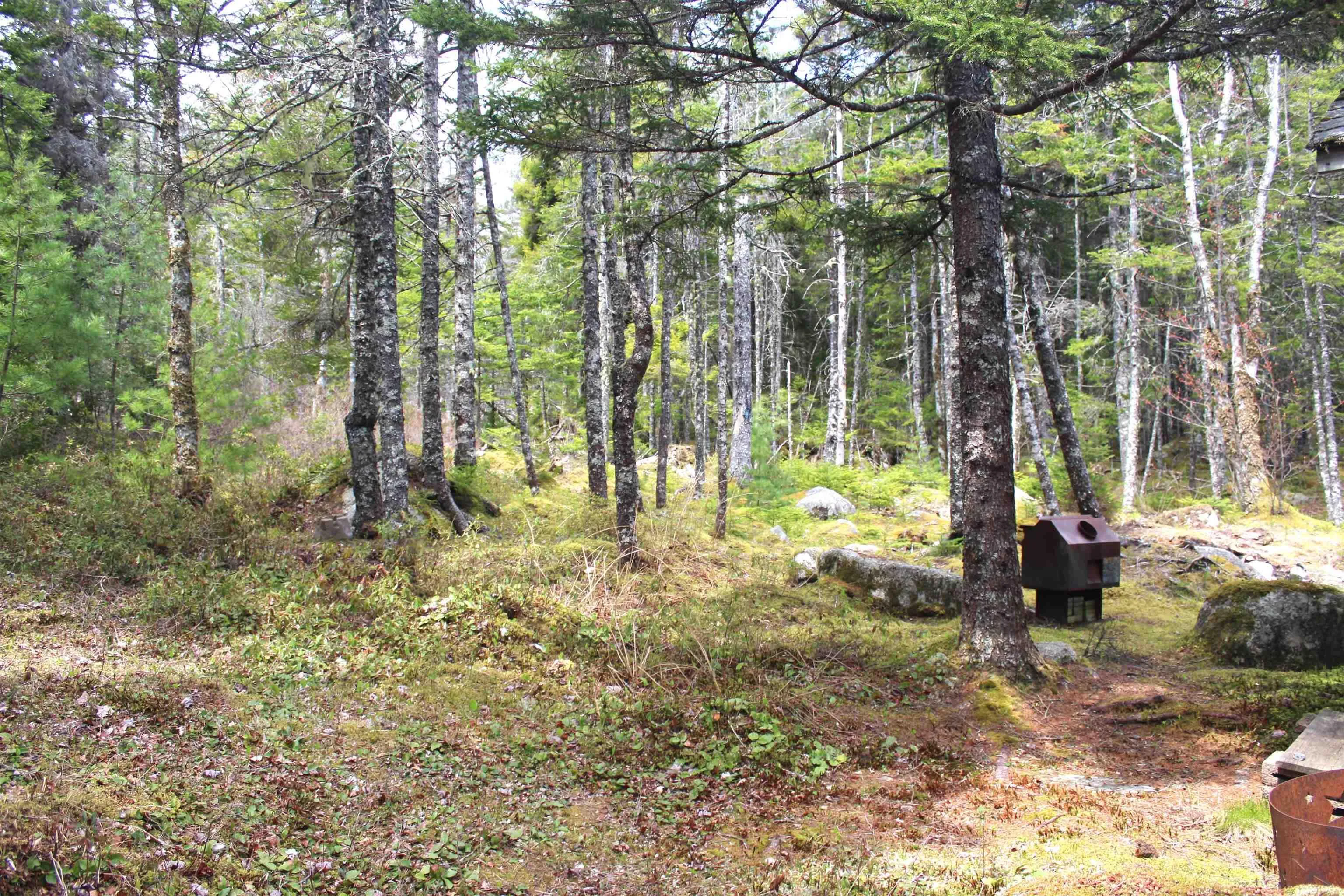 Lake Charlotte, Upper Lakeville, NS B0J 1P0, ,Residential,For Sale,Lake Charlotte,202511085