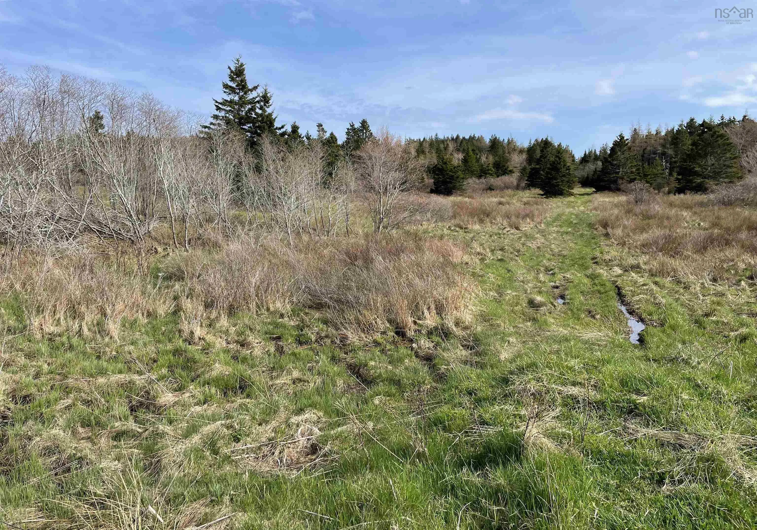 320 Highway, Poulamon Ns B0e 1k0, ,Land,For Sale,320,202409784