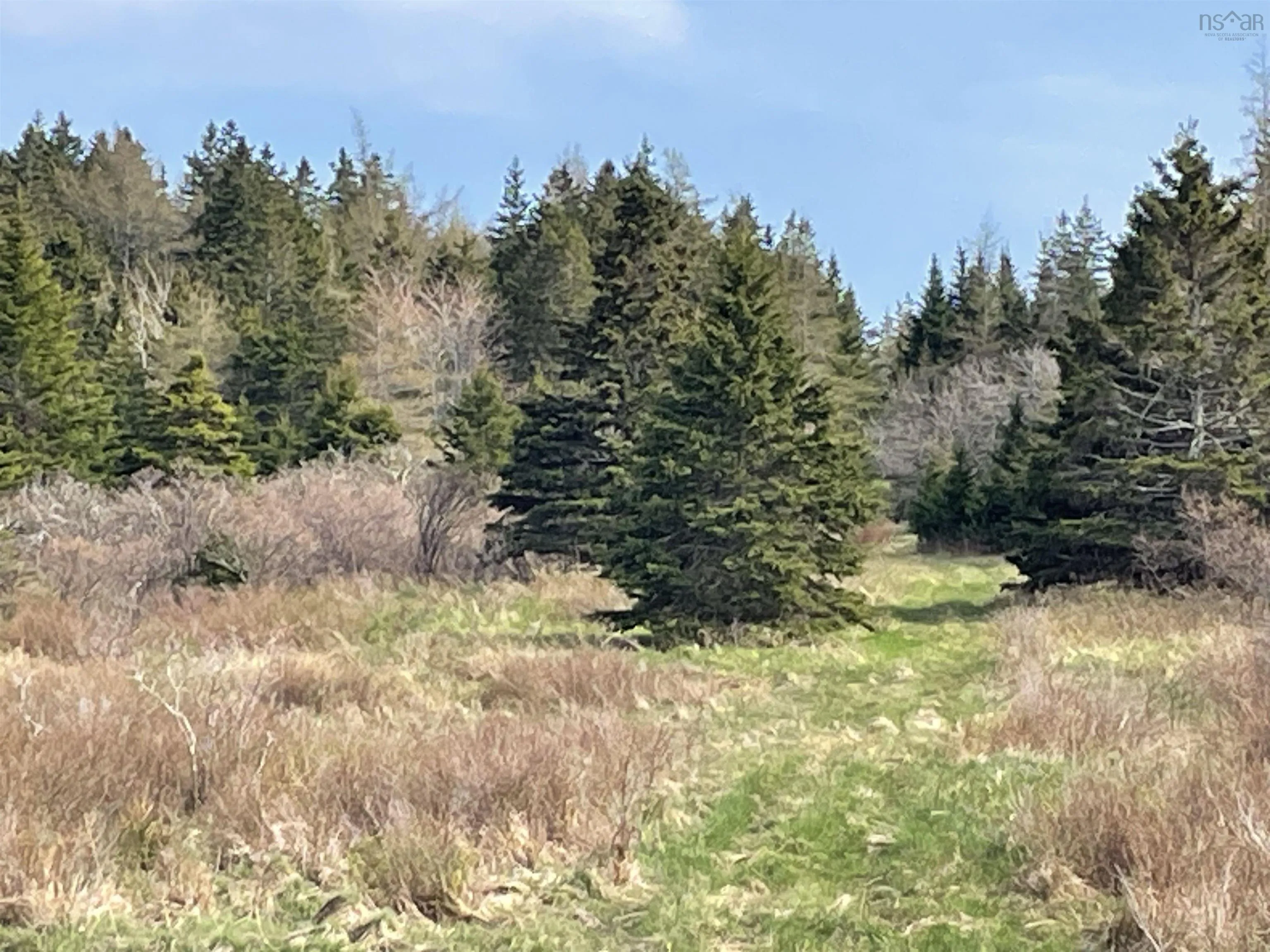 320 Highway, Poulamon Ns B0e 1k0, ,Land,For Sale,320,202409784