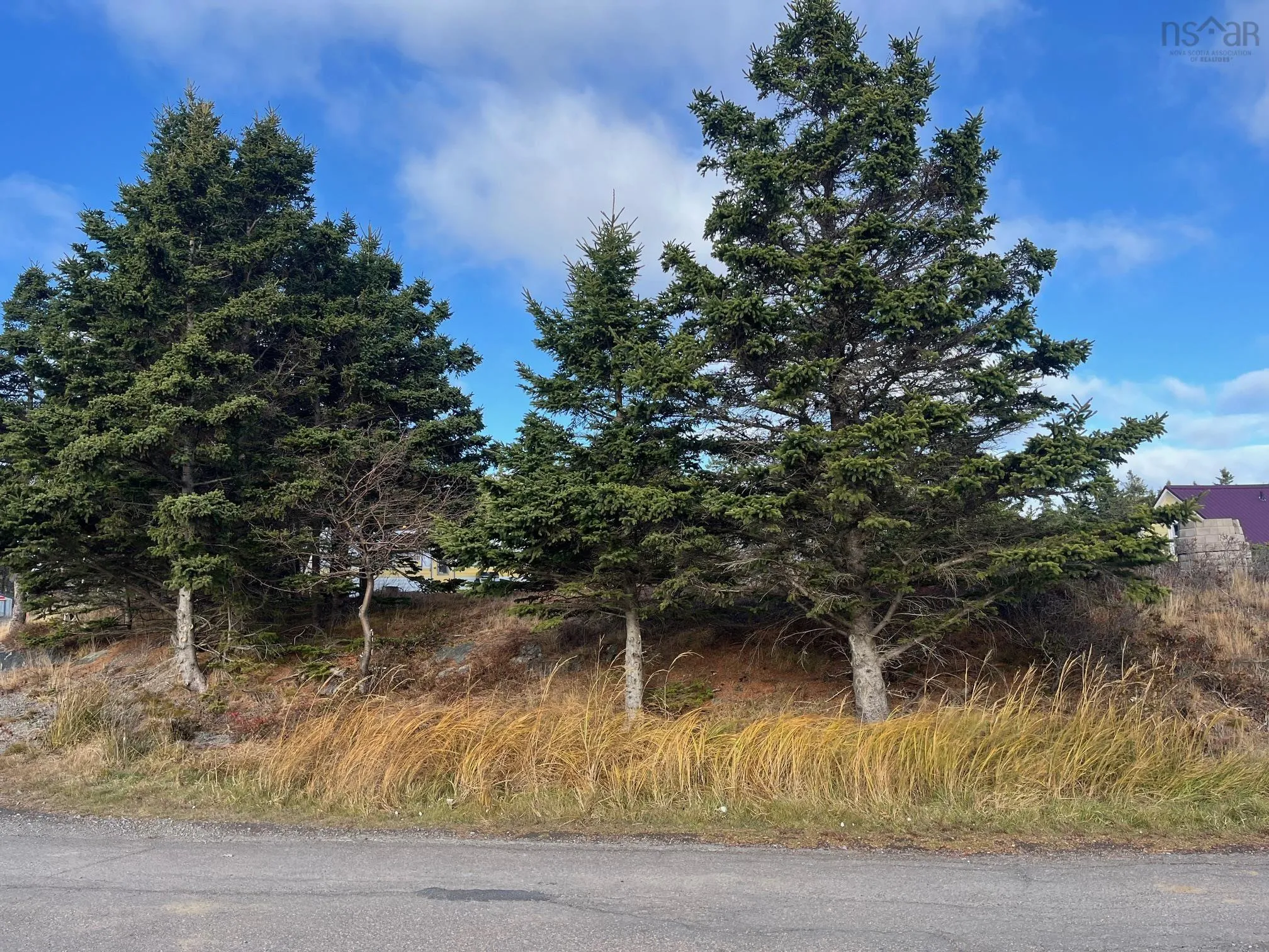 Pid#60171535 Herring Rock Road, Blue Rocks, NS B0J 2C0, ,Land,For Sale,Pid#60171535 Herring Rock,202426438