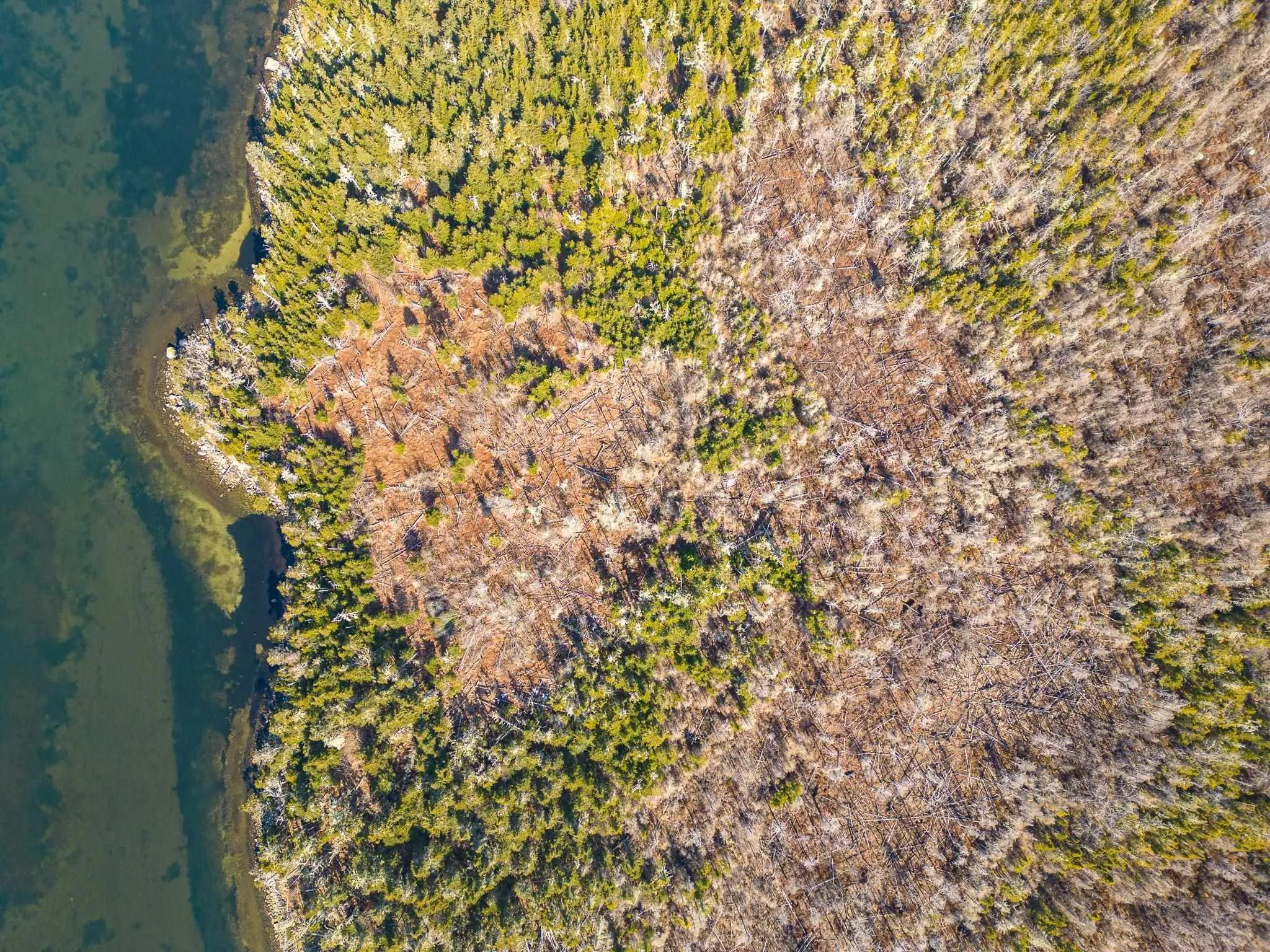 Mathews Lake Road Lot 3, Little Harbour Ns B0t 1v0, ,Land,For Sale,Mathews Lake,202505240