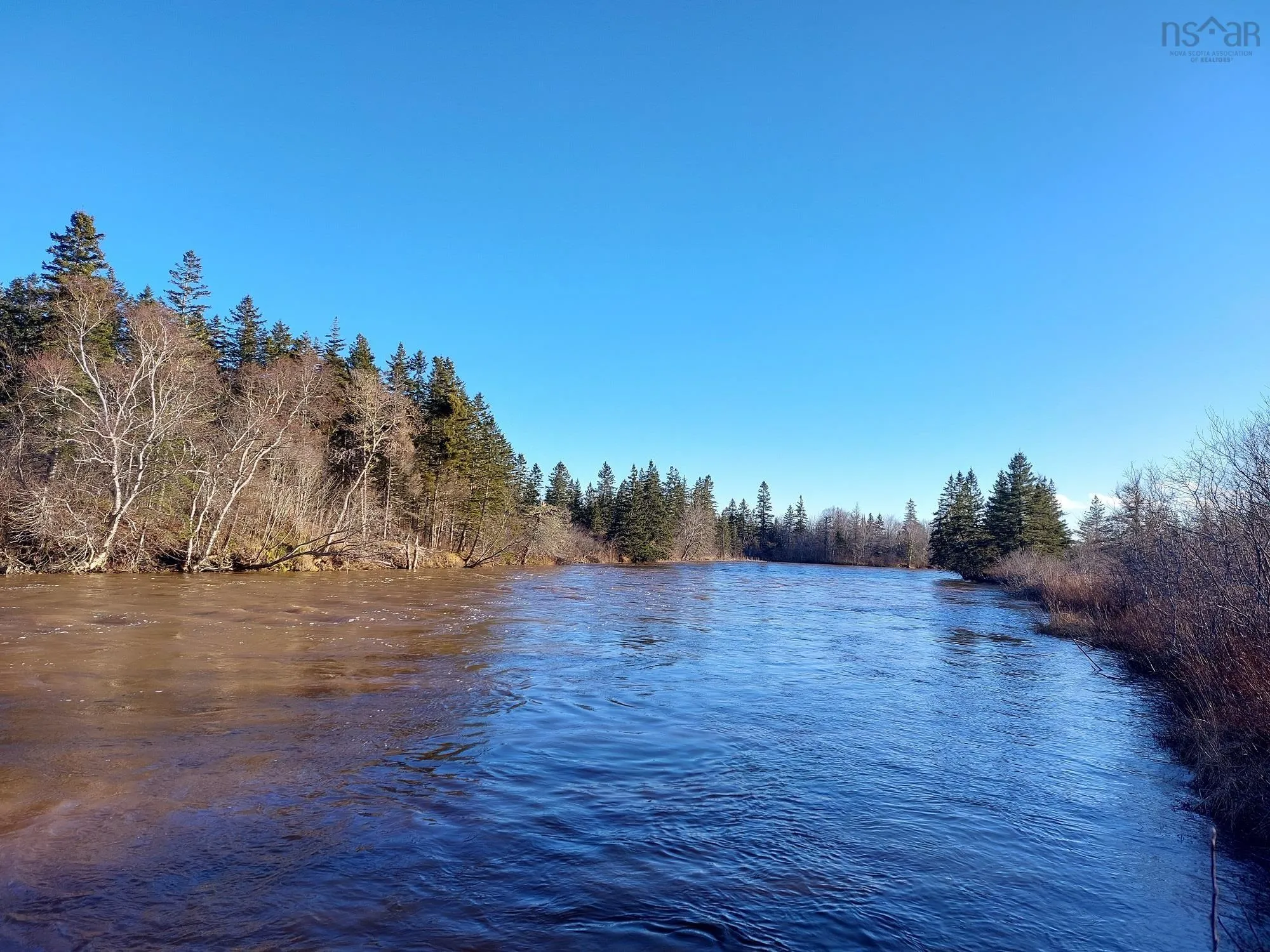 Lot 1 Hwy 4, Cleveland Ns B0e 1j0, ,Land,For Sale,Hwy 4,202509613