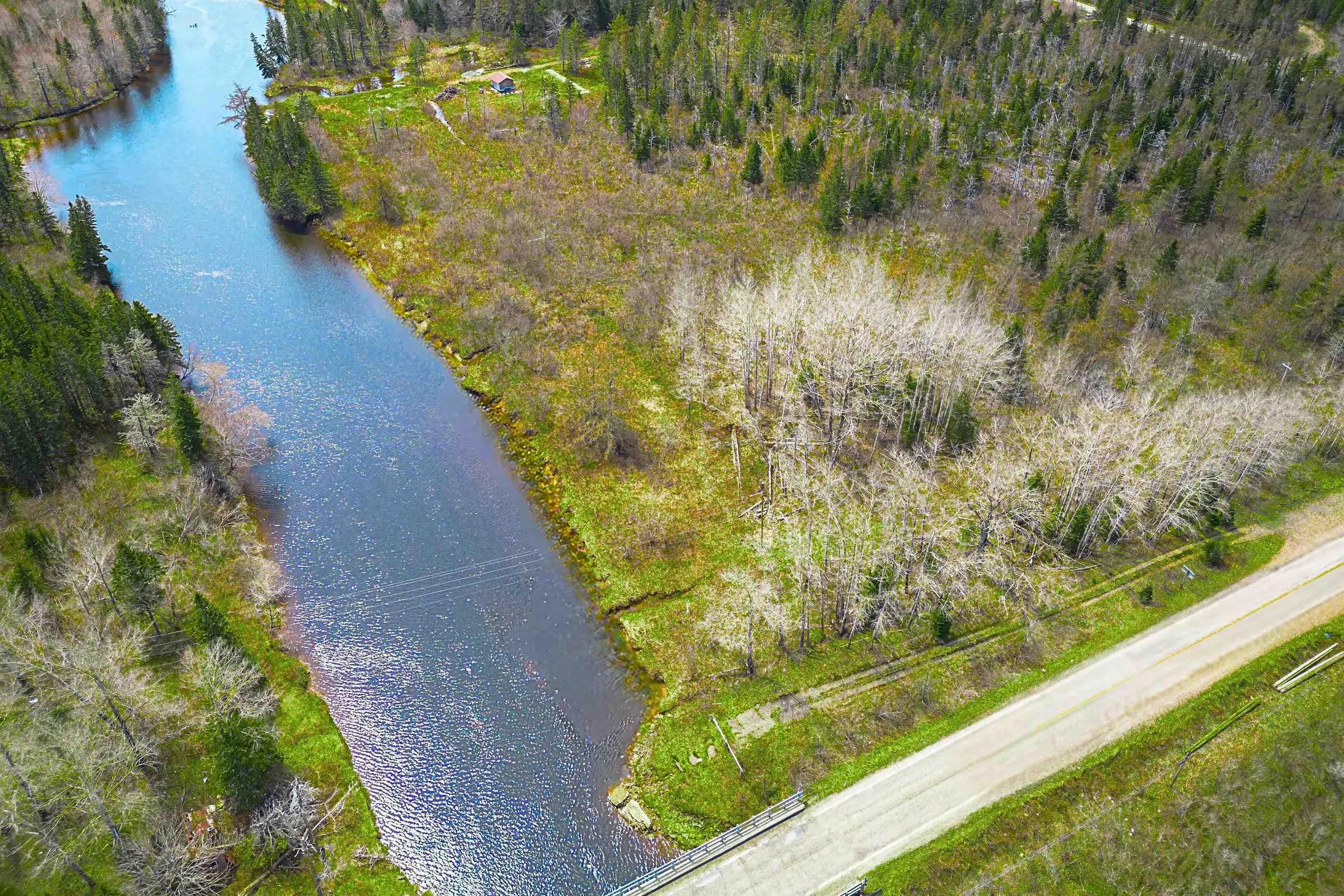 Lot 1 Hwy 4, Cleveland Ns B0e 1j0, ,Land,For Sale,Hwy 4,202509613