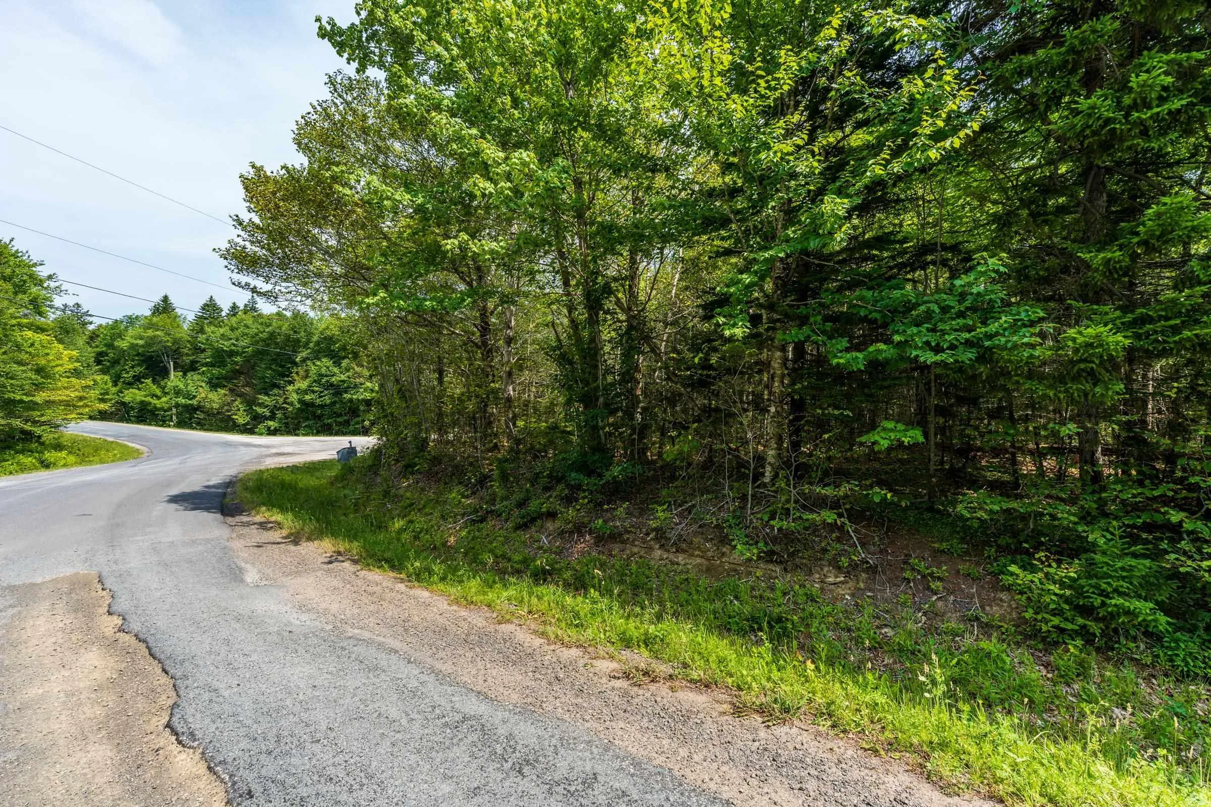 Lot D'entremont Road, Maxwellton, NS B0W 2L0, ,Land,For Sale,D'entremont Road,202517766