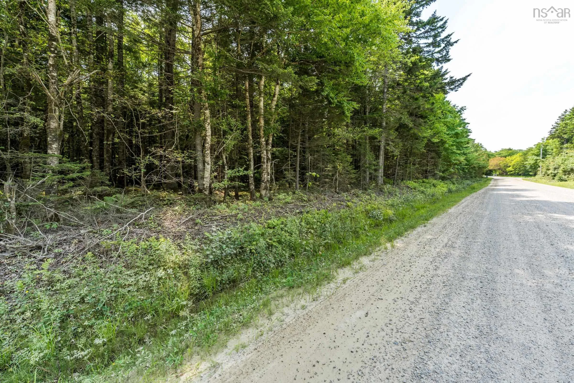 Lot D'entremont Road, Maxwellton, NS B0W 2L0, ,Land,For Sale,D'entremont Road,202517766