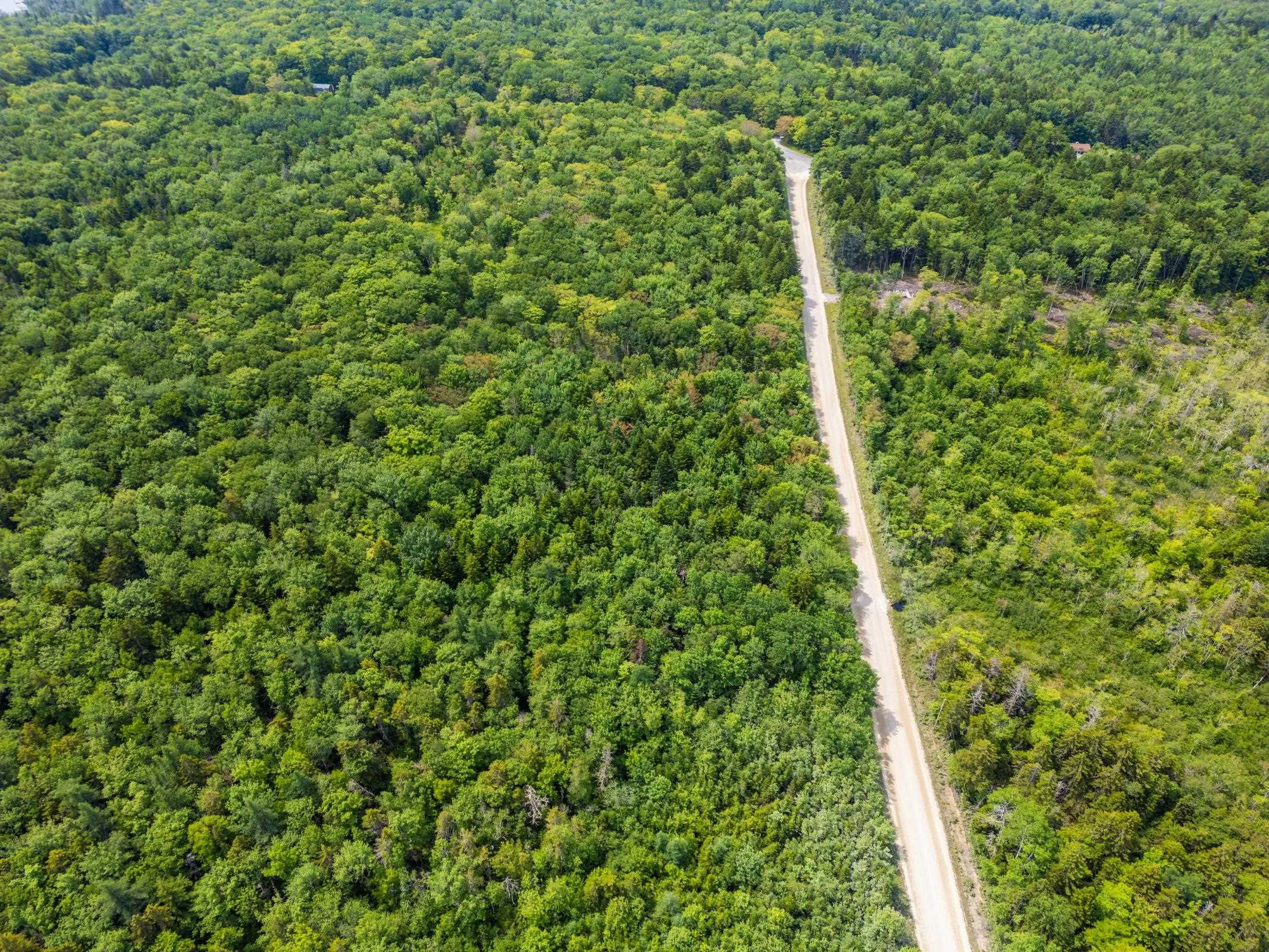 Lot D'entremont Road, Maxwellton, NS B0W 2L0, ,Land,For Sale,D'entremont Road,202517766