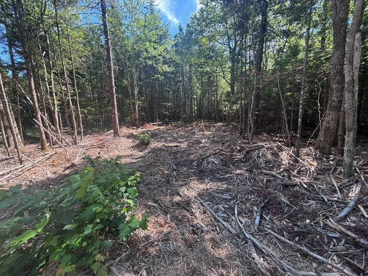 11a Nicholas Drive, Hammonds Plains, NS B4B 1M9, ,Land,For Sale,Nicholas,202522556