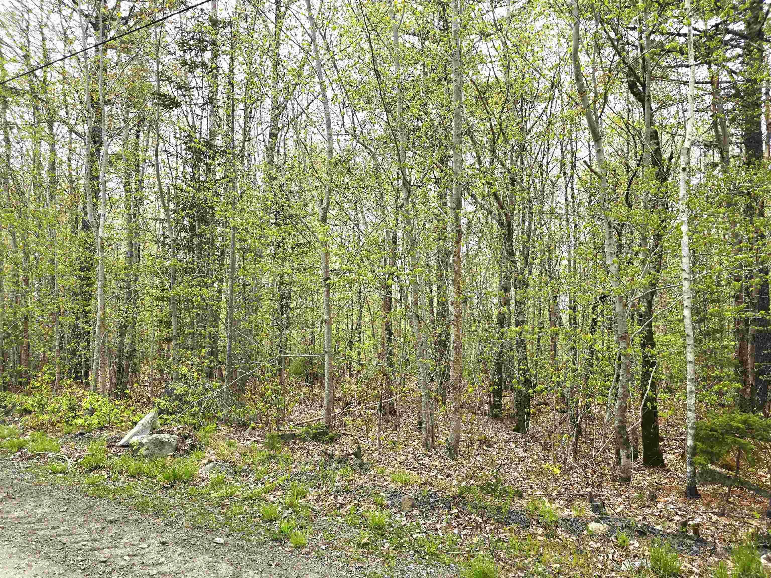 Ponhook Drive Lot 31, Labelle Ns B0t 1e0, 2 Bedrooms Bedrooms, ,1 BathroomBathrooms,Residential,For Sale,Ponhook View,202410551