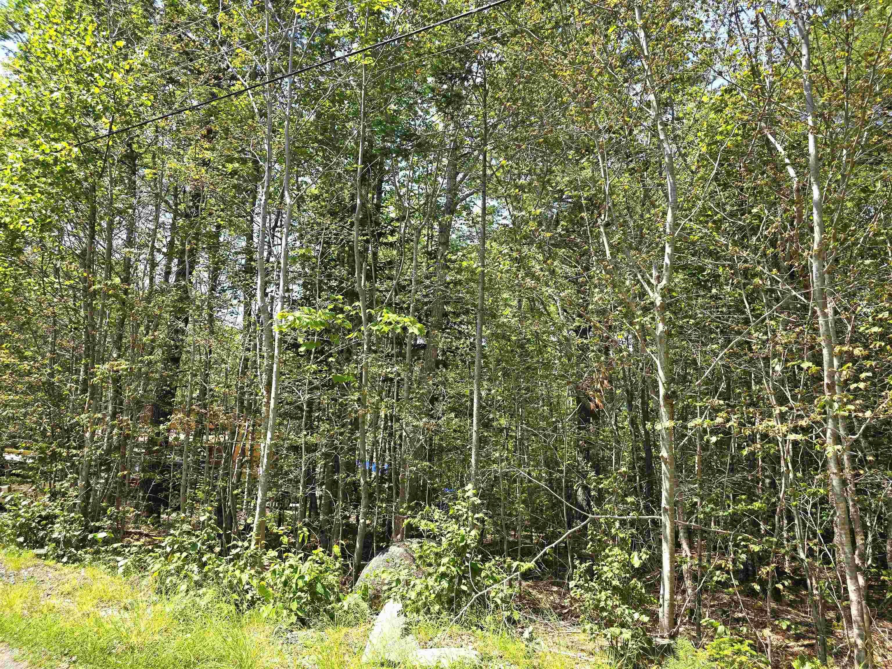 Ponhook Drive Lot 31, Labelle Ns B0t 1e0, 2 Bedrooms Bedrooms, ,1 BathroomBathrooms,Residential,For Sale,Ponhook View,202410551