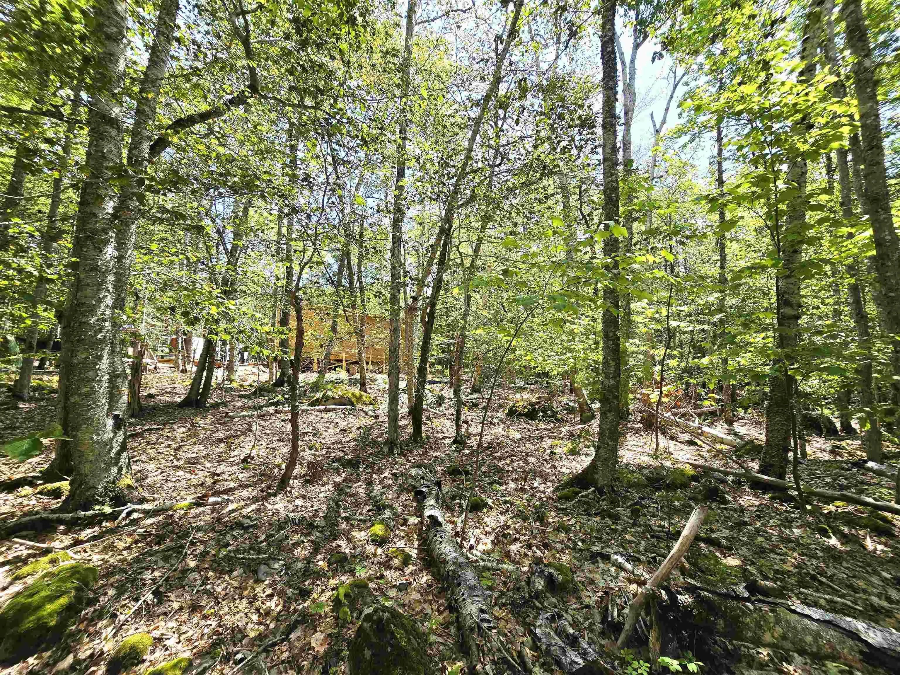 Ponhook Drive Lot 31, Labelle Ns B0t 1e0, 2 Bedrooms Bedrooms, ,1 BathroomBathrooms,Residential,For Sale,Ponhook View,202410551