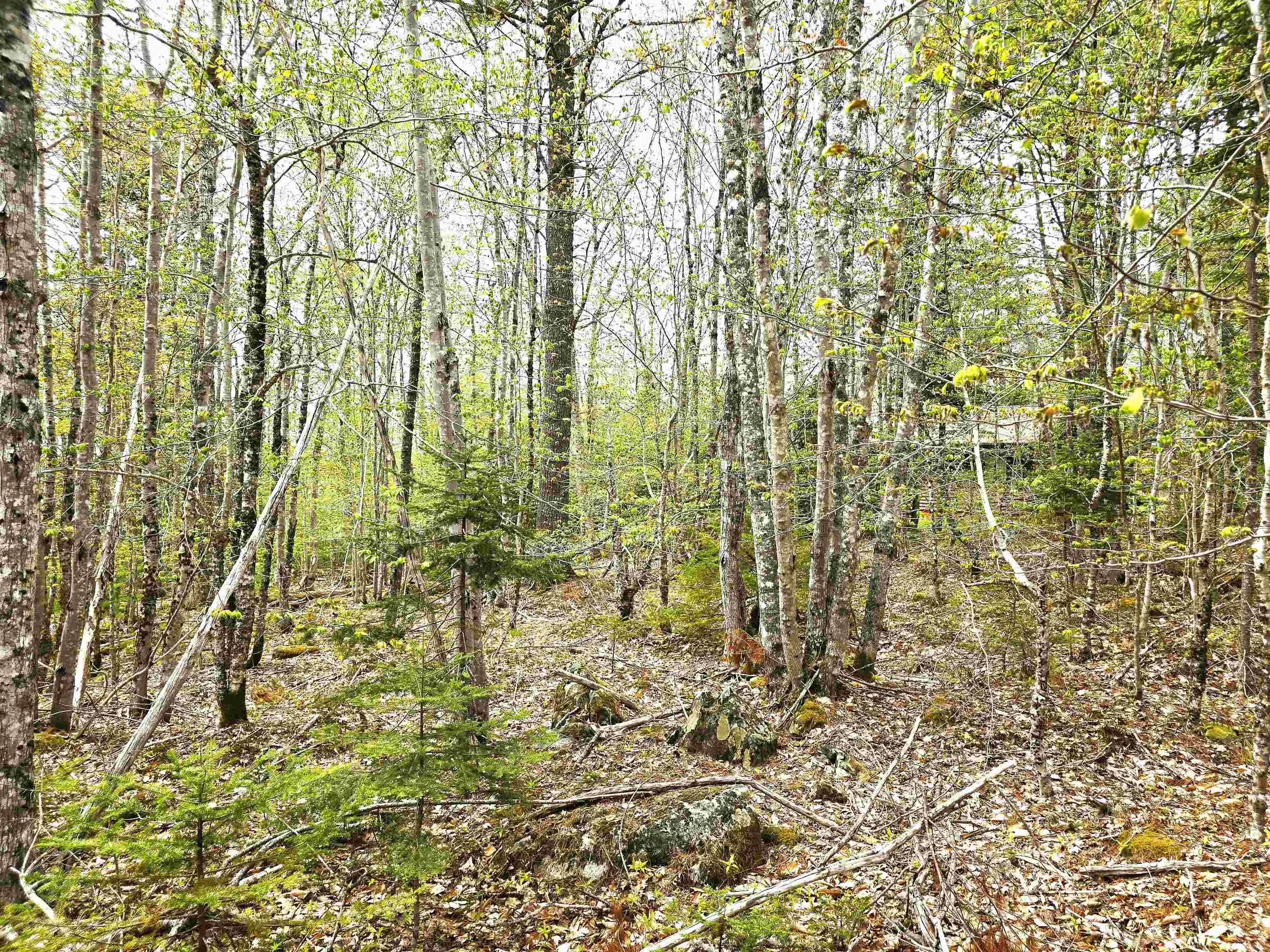Ponhook Drive Lot 31, Labelle Ns B0t 1e0, 2 Bedrooms Bedrooms, ,1 BathroomBathrooms,Residential,For Sale,Ponhook View,202410551