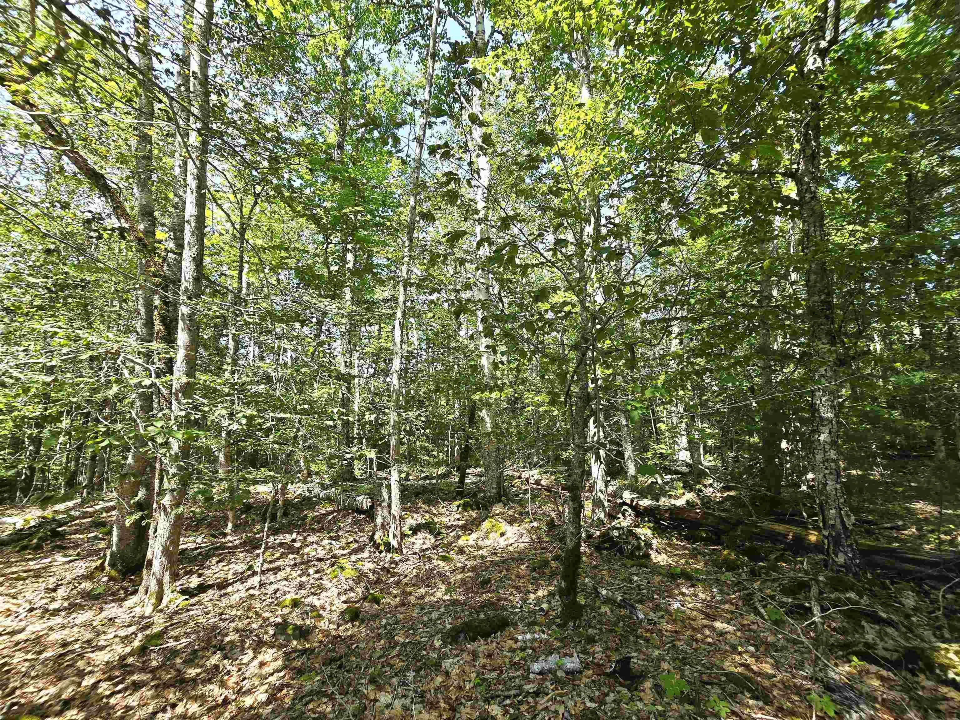 Ponhook Drive Lot 31, Labelle Ns B0t 1e0, 2 Bedrooms Bedrooms, ,1 BathroomBathrooms,Residential,For Sale,Ponhook View,202410551