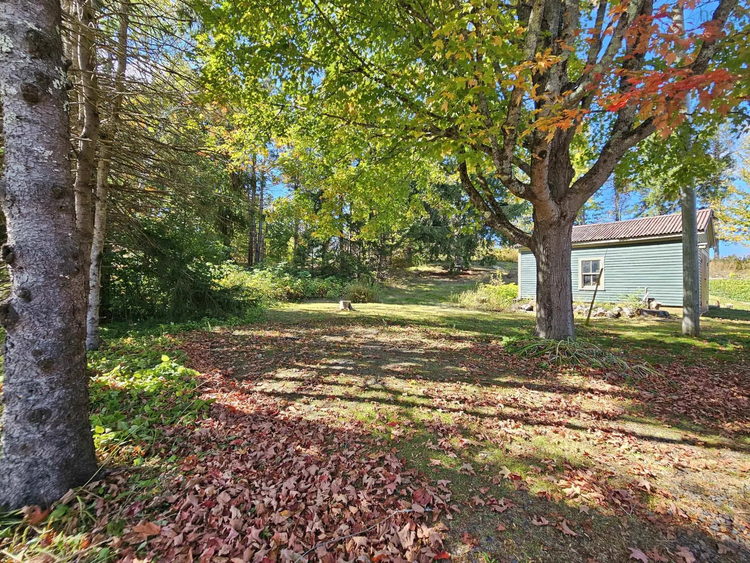 8671 Highway 2, Great Village, NS B0M 1L0, 5 Bedrooms Bedrooms, ,3 BathroomsBathrooms,Residential,For Sale,Highway 2,202524781