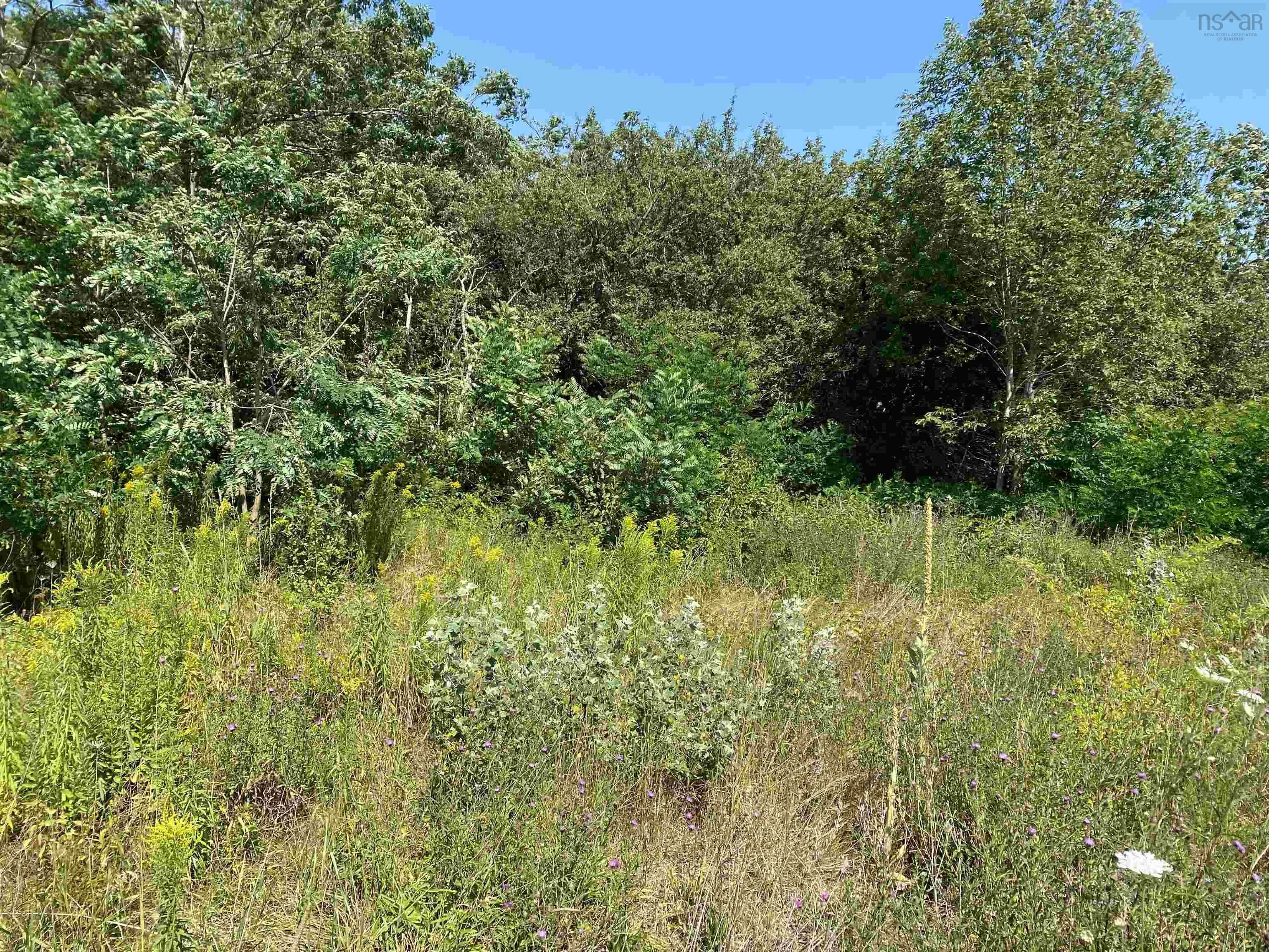 1238 Granville Road, Victoria Beach, NS B0S 1A0, ,Land,For Sale,Granville,202518908