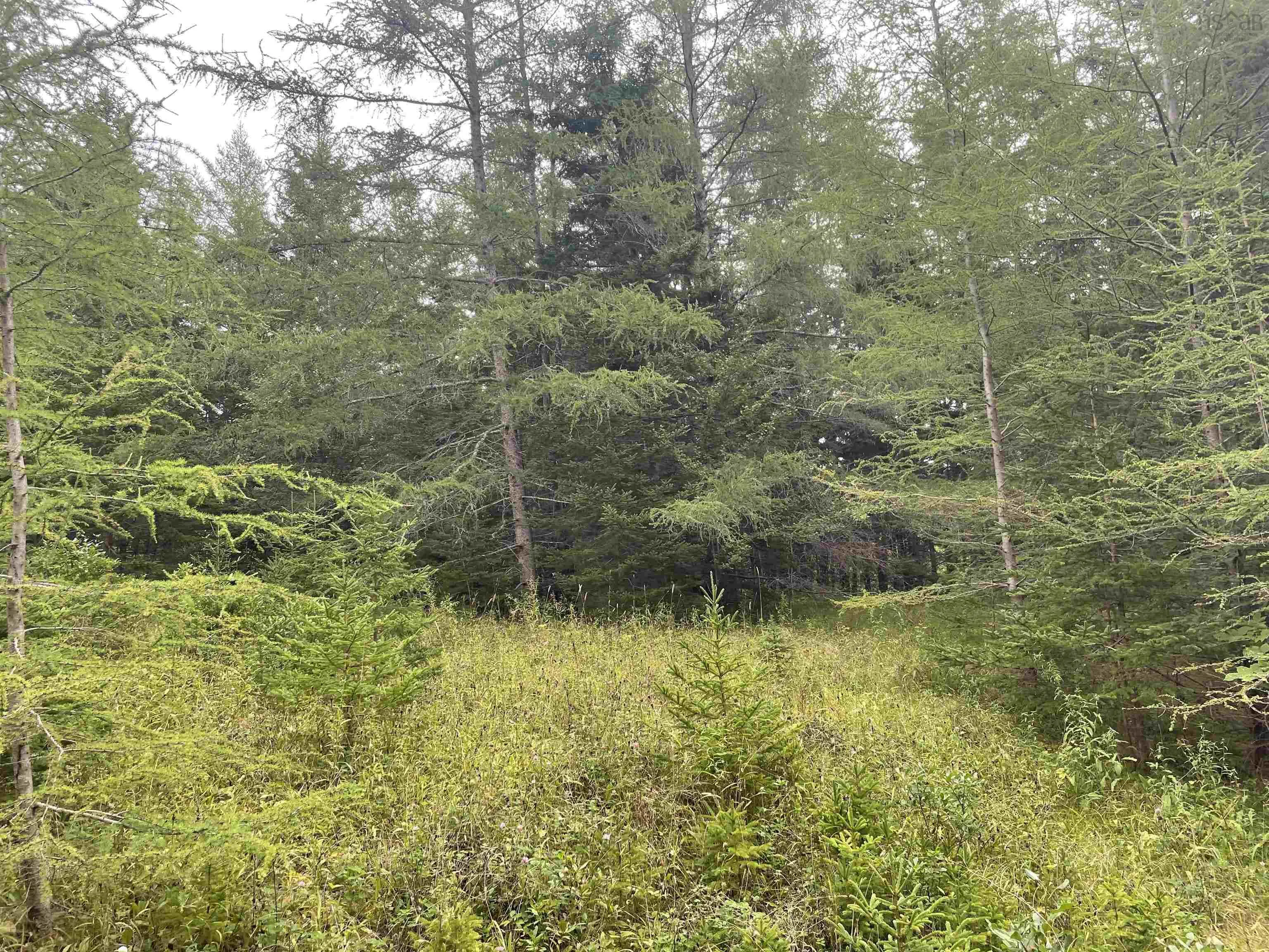 Highway 105, Baddeck Ns B0e 1b0, ,Land,For Sale,Highway 105,202419540