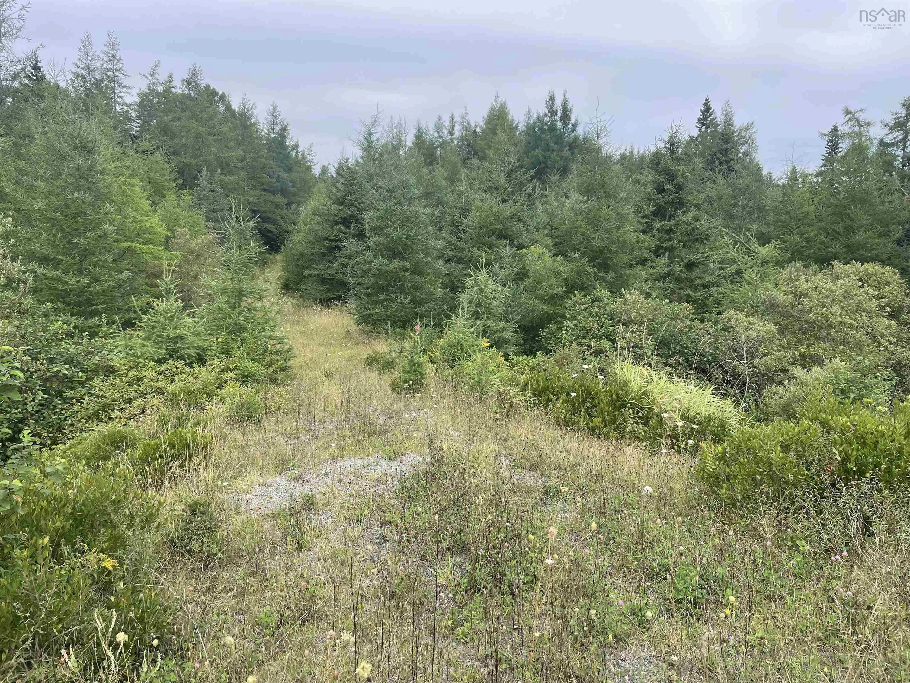 Highway 105, Baddeck Ns B0e 1b0, ,Land,For Sale,Highway 105,202419540