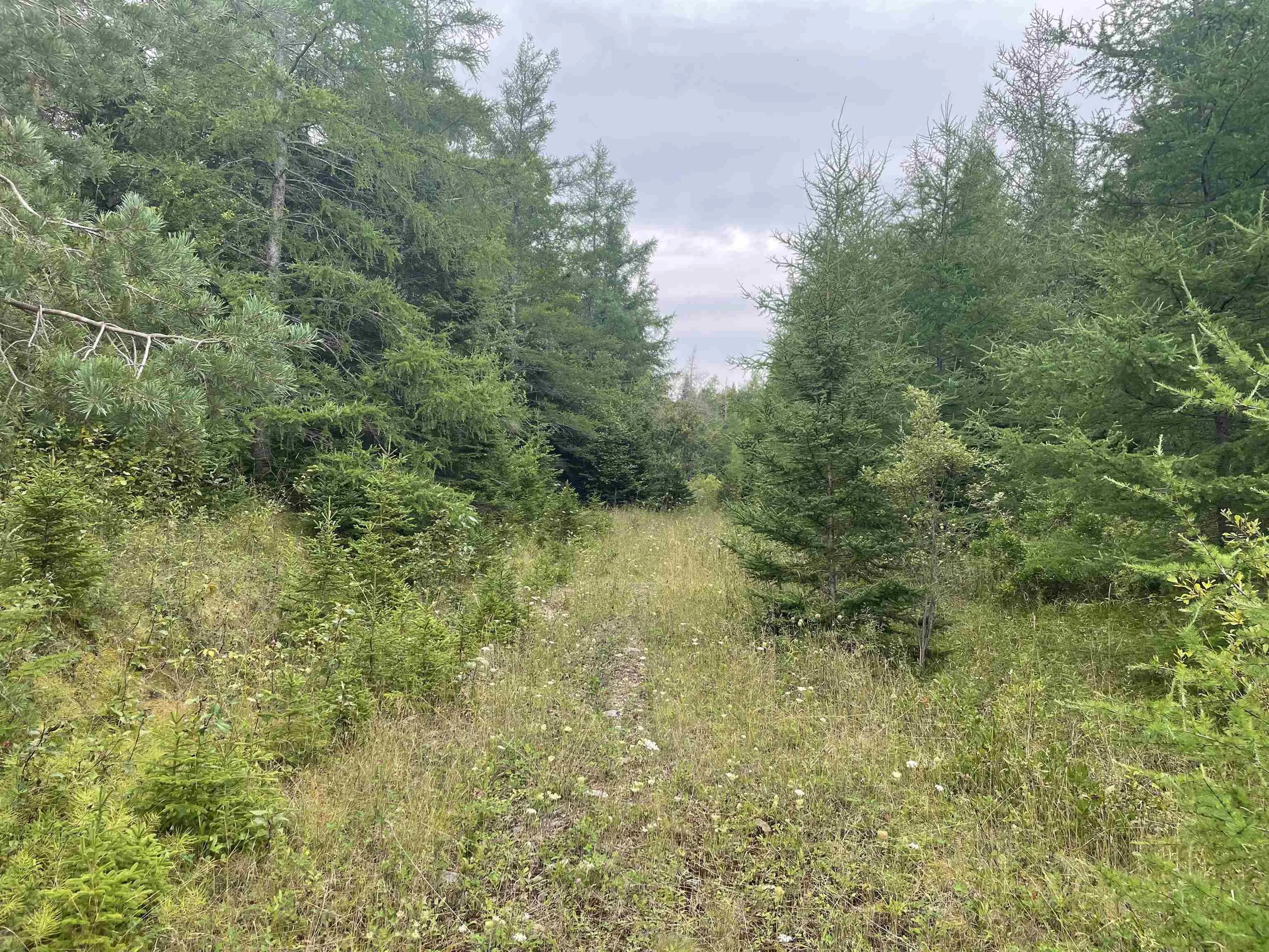 Highway 105, Baddeck Ns B0e 1b0, ,Land,For Sale,Highway 105,202419540
