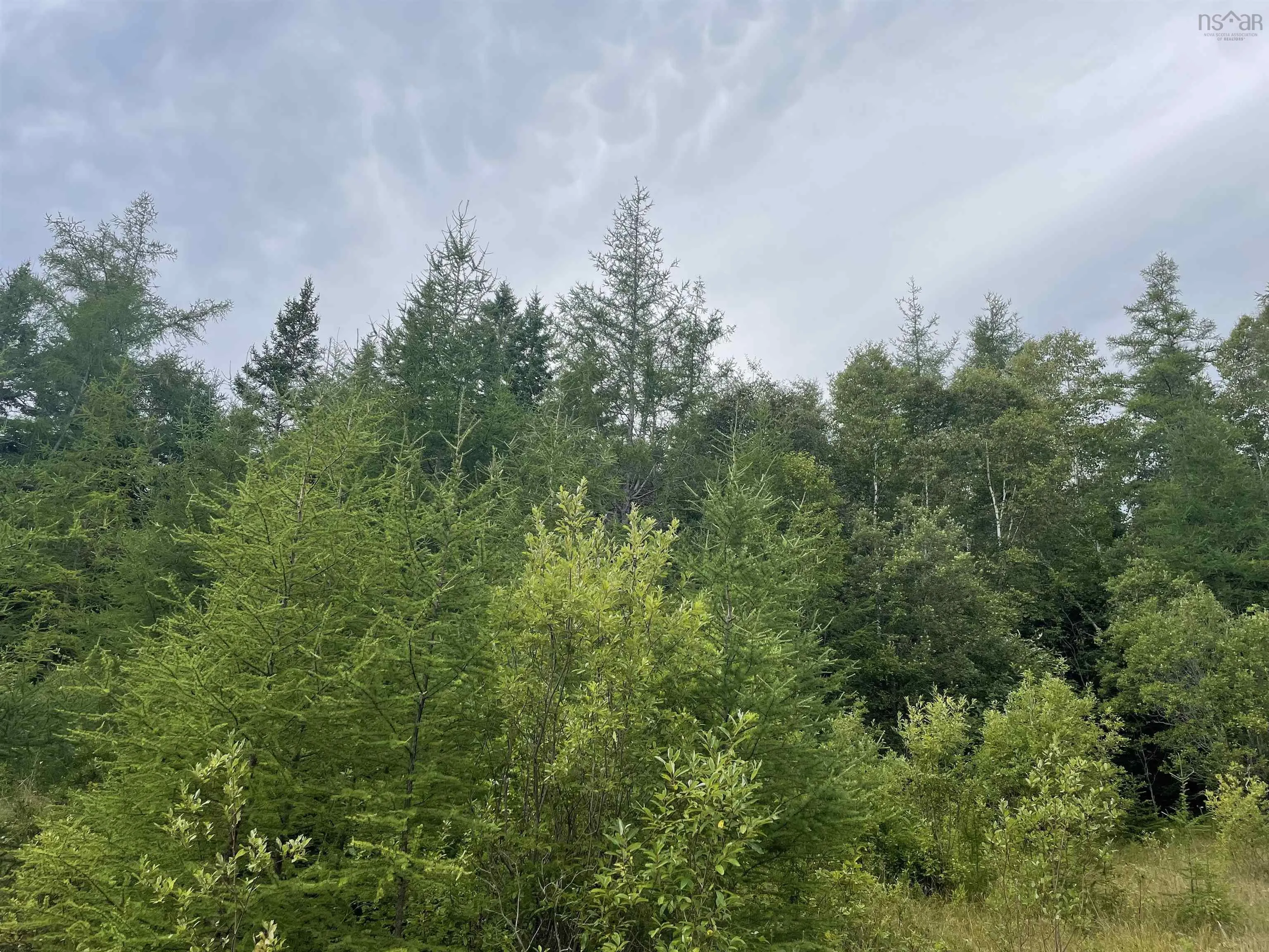 Highway 105, Baddeck Ns B0e 1b0, ,Land,For Sale,Highway 105,202419540