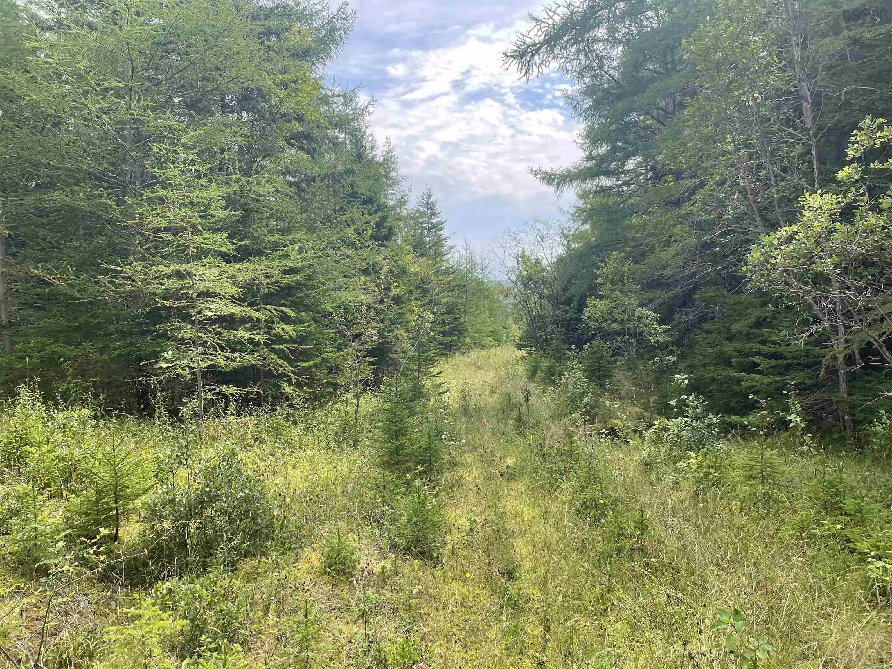 Highway 105, Baddeck Ns B0e 1b0, ,Land,For Sale,Highway 105,202419540
