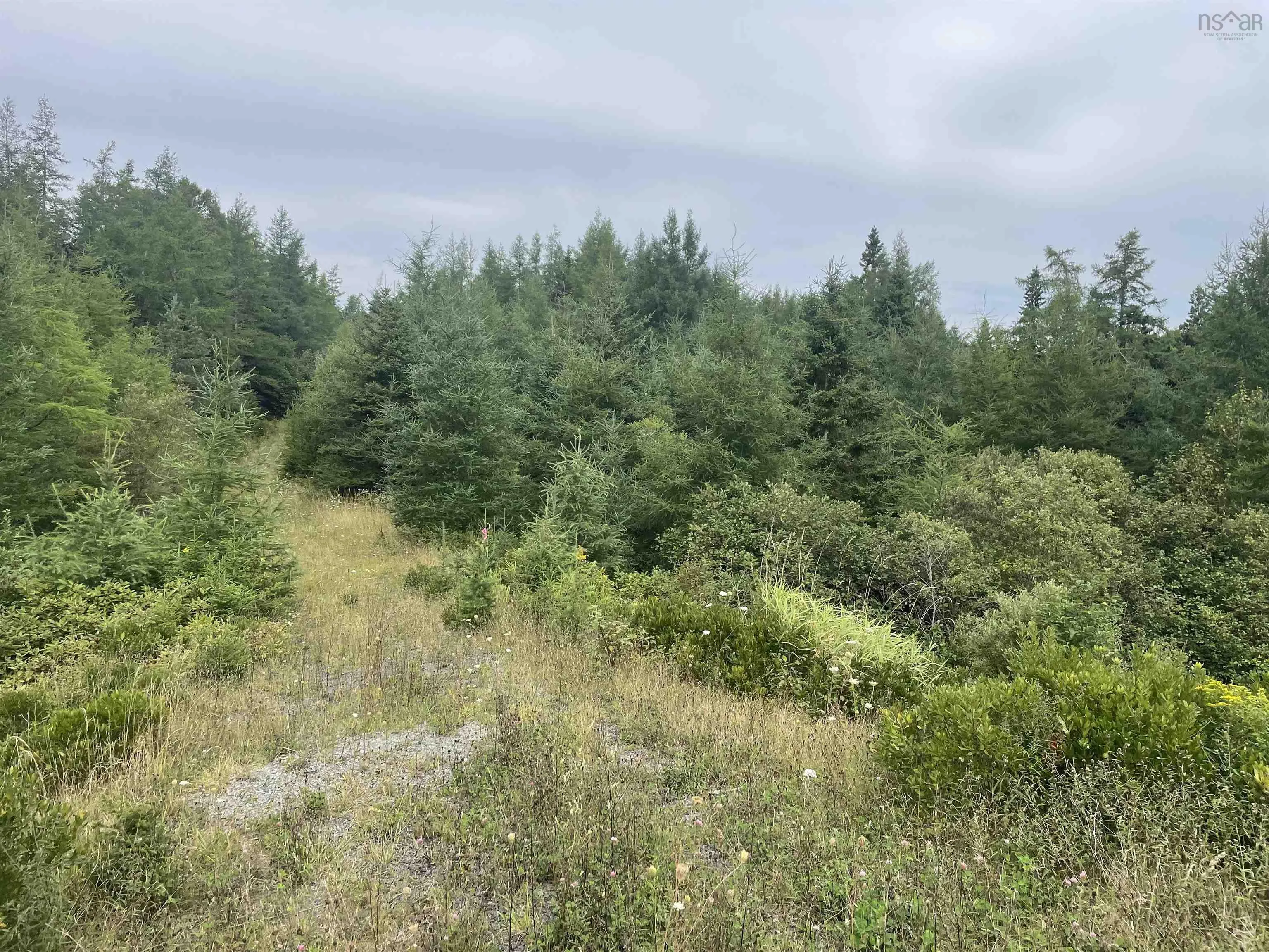 Highway 105, Baddeck Ns B0e 1b0, ,Land,For Sale,Highway 105,202419540