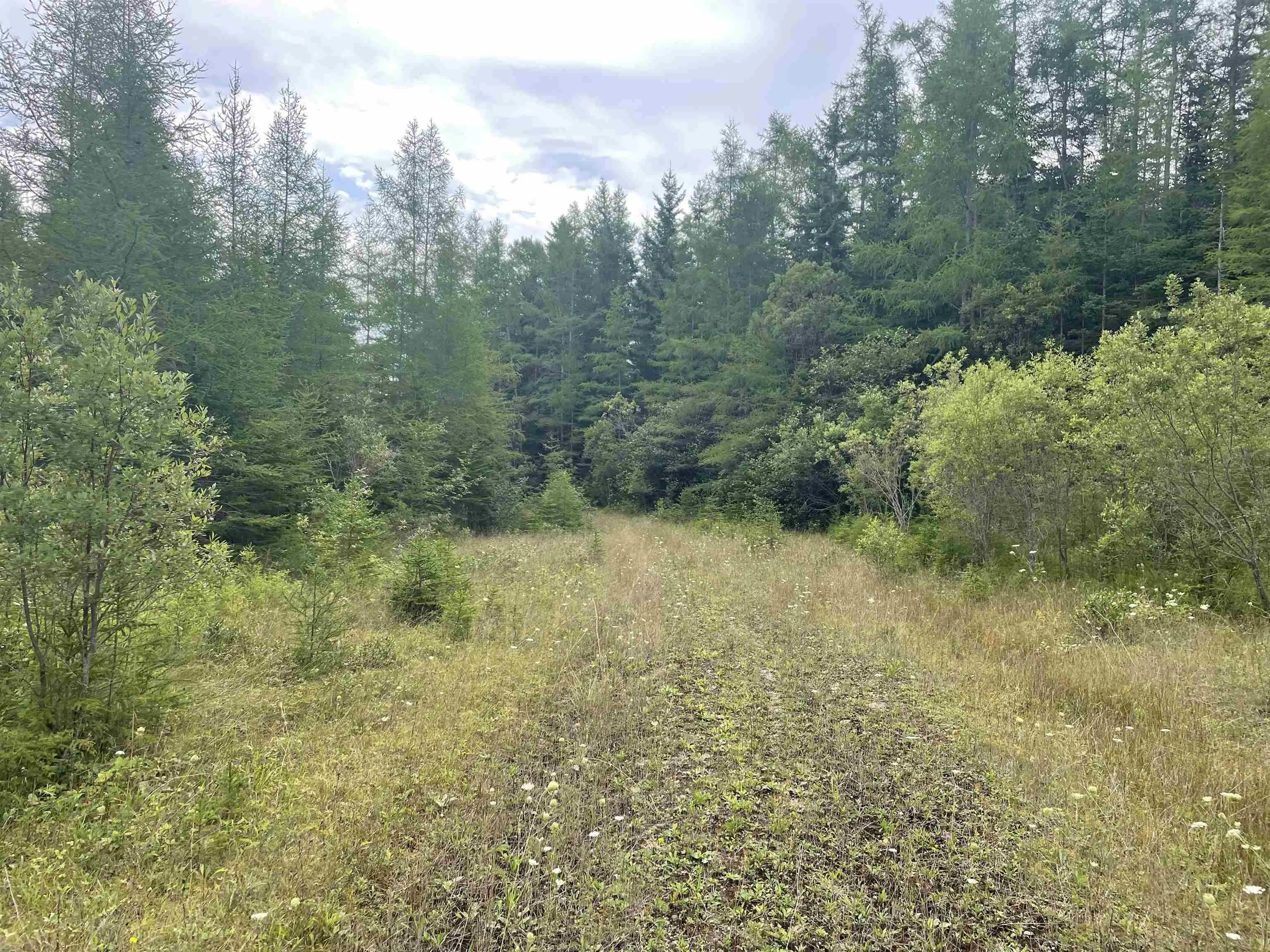 Highway 105, Baddeck Ns B0e 1b0, ,Land,For Sale,Highway 105,202419540