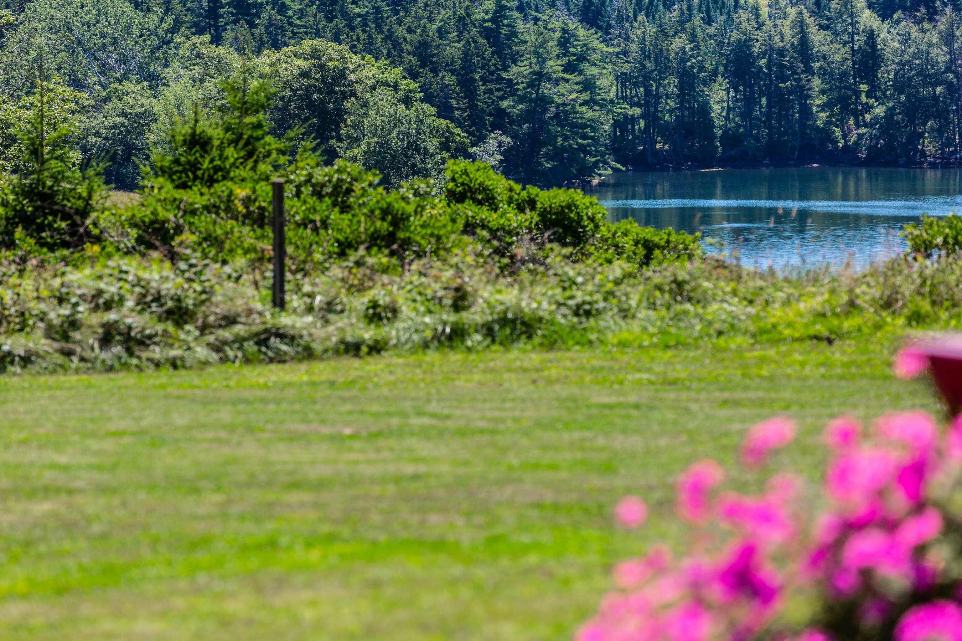 Lot 1 Second Peninsula Rd, Lunenburg, NS B0J 2C0, ,Land,For Sale,Second Peninsula Rd,202512795