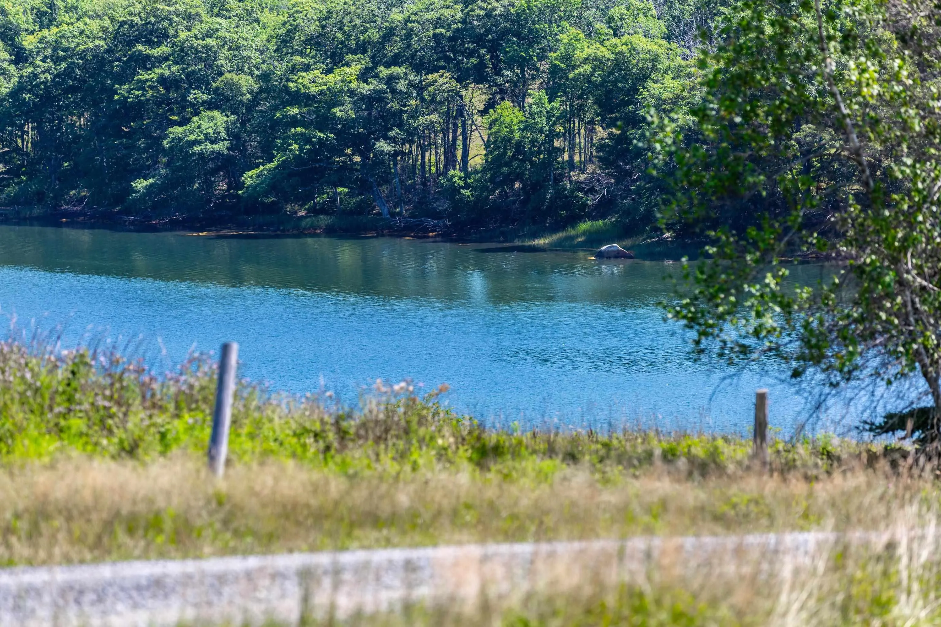 Lot 1 Second Peninsula Rd, Lunenburg, NS B0J 2C0, ,Land,For Sale,Second Peninsula Rd,202512795