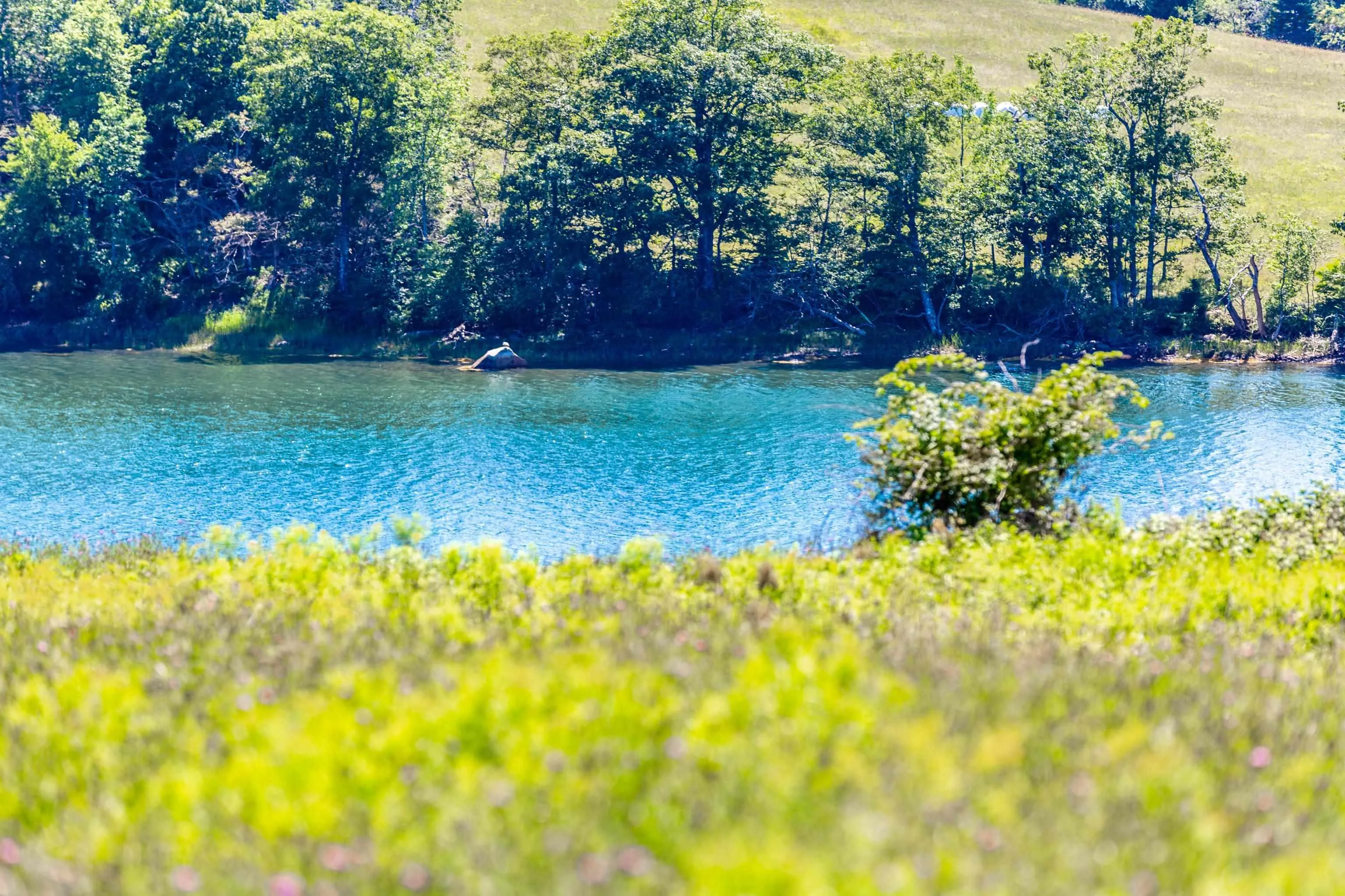 Lot 1 Second Peninsula Rd, Lunenburg, NS B0J 2C0, ,Land,For Sale,Second Peninsula Rd,202512795