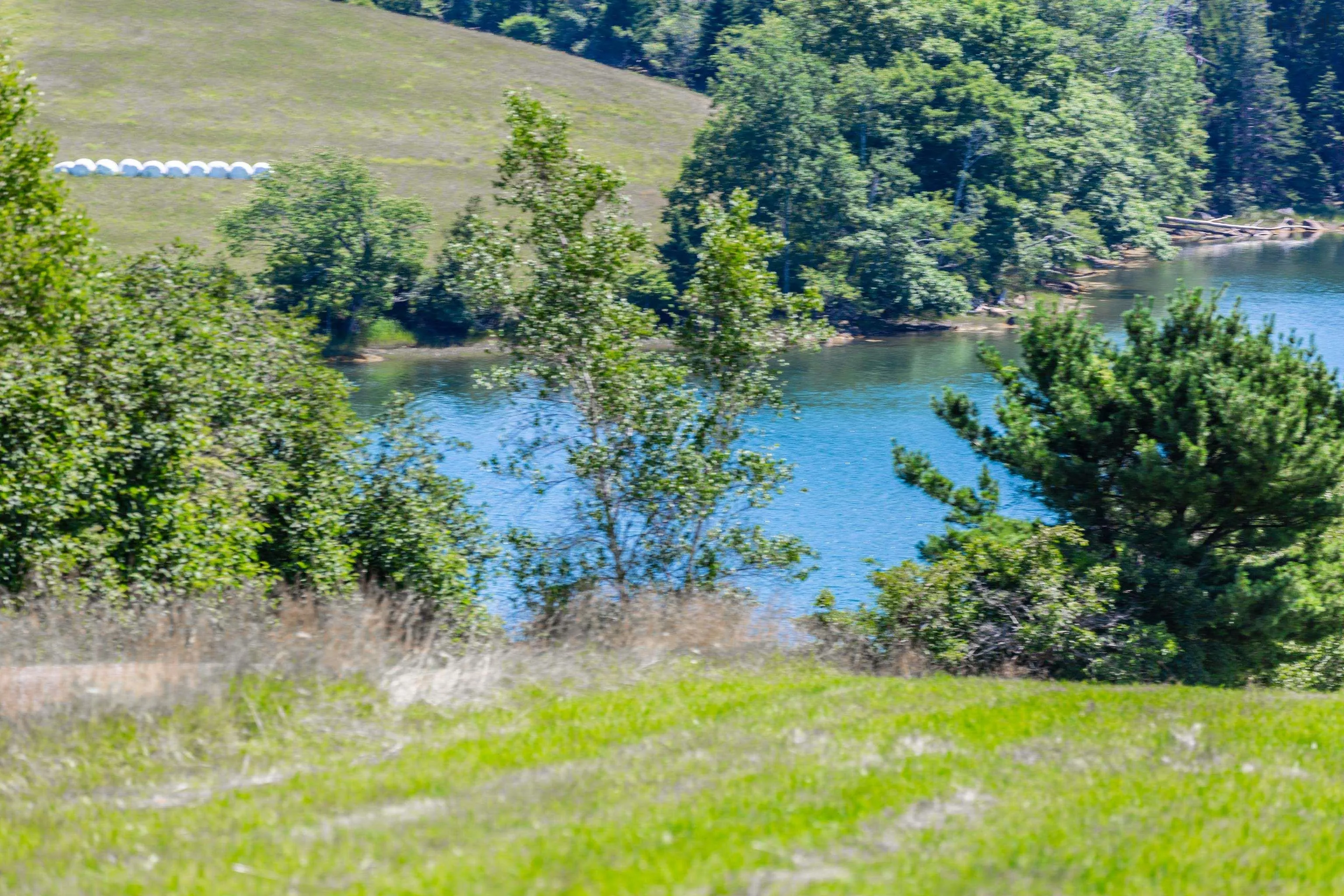 Lot 1 Second Peninsula Rd, Lunenburg, NS B0J 2C0, ,Land,For Sale,Second Peninsula Rd,202512795