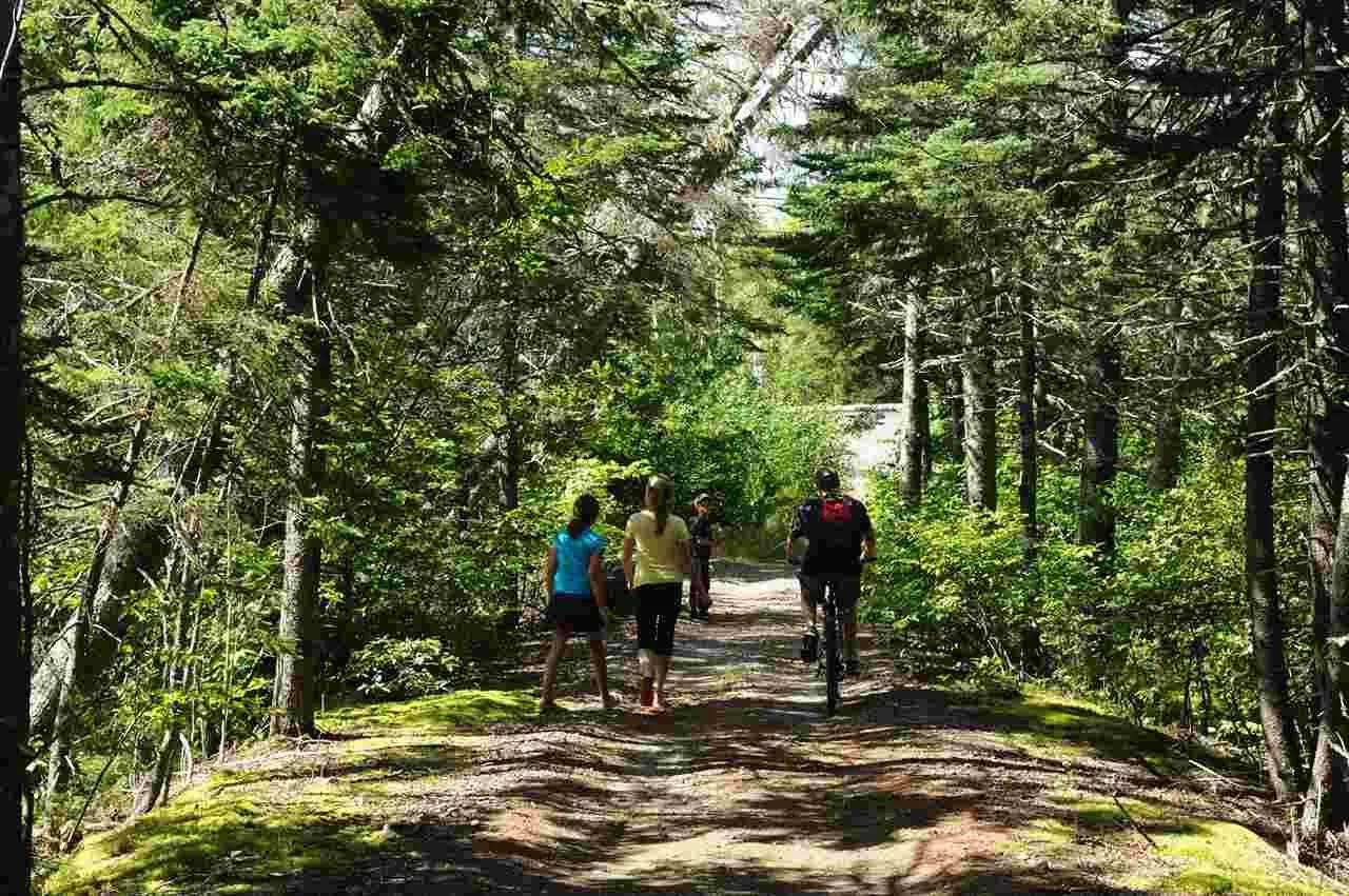 Lot 8 Cutler Estates, Guysborough Ns B0h 1n0, ,Land,For Sale,Cutler Estates,202128461